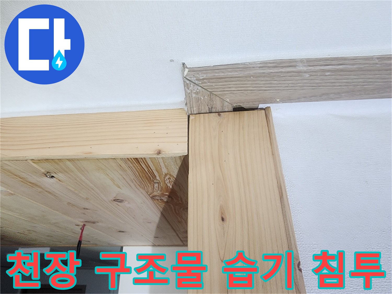 천장 목재 마감재 - 물샘으로 인해 변색되고 눅눅해진 몰딩 경계면입니다.