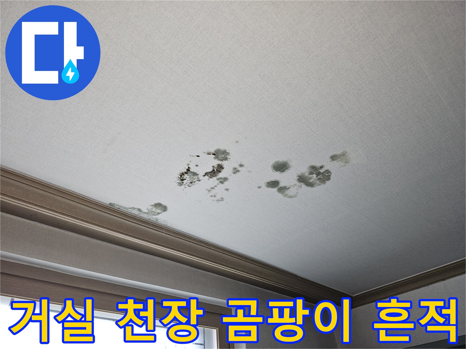 2층-거실-천장-벽지-누수-및-오염-부위-확인