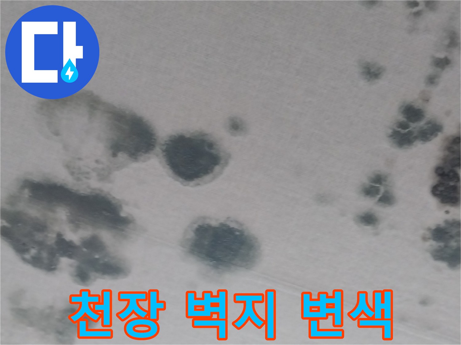 동탄 상가주택 거실 천장 누수 흔적 및 변색 부위