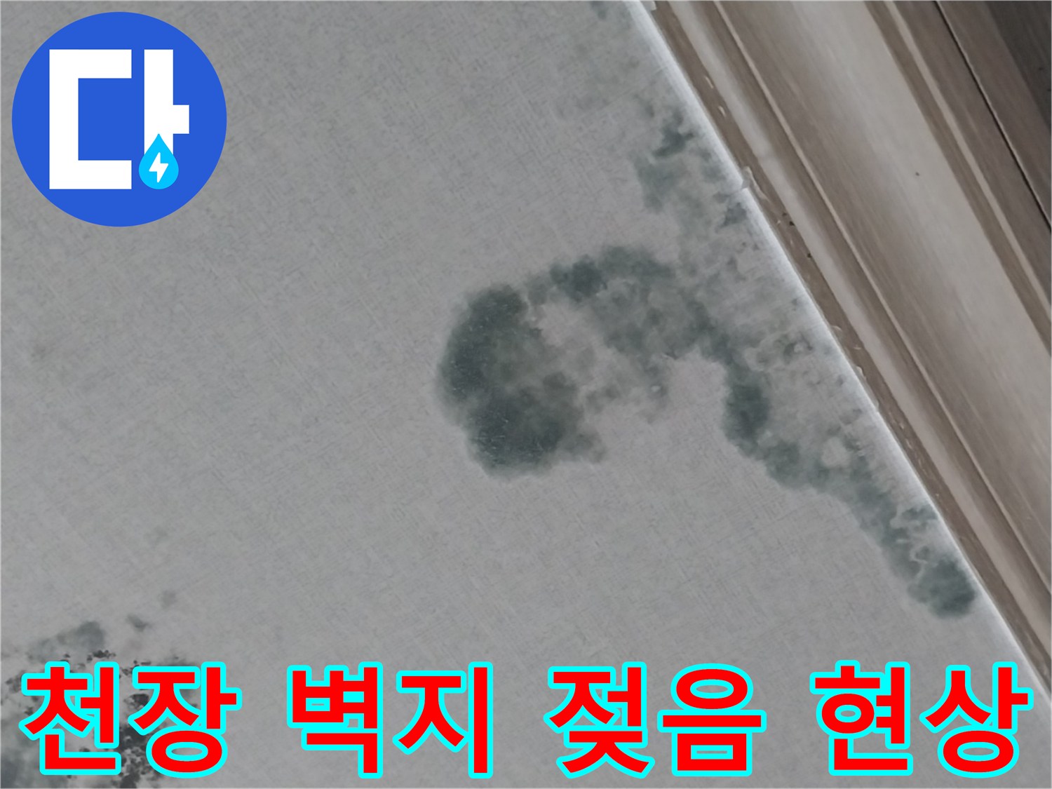 물에 의해 변색되고 얼룩진 거실 천장 벽지