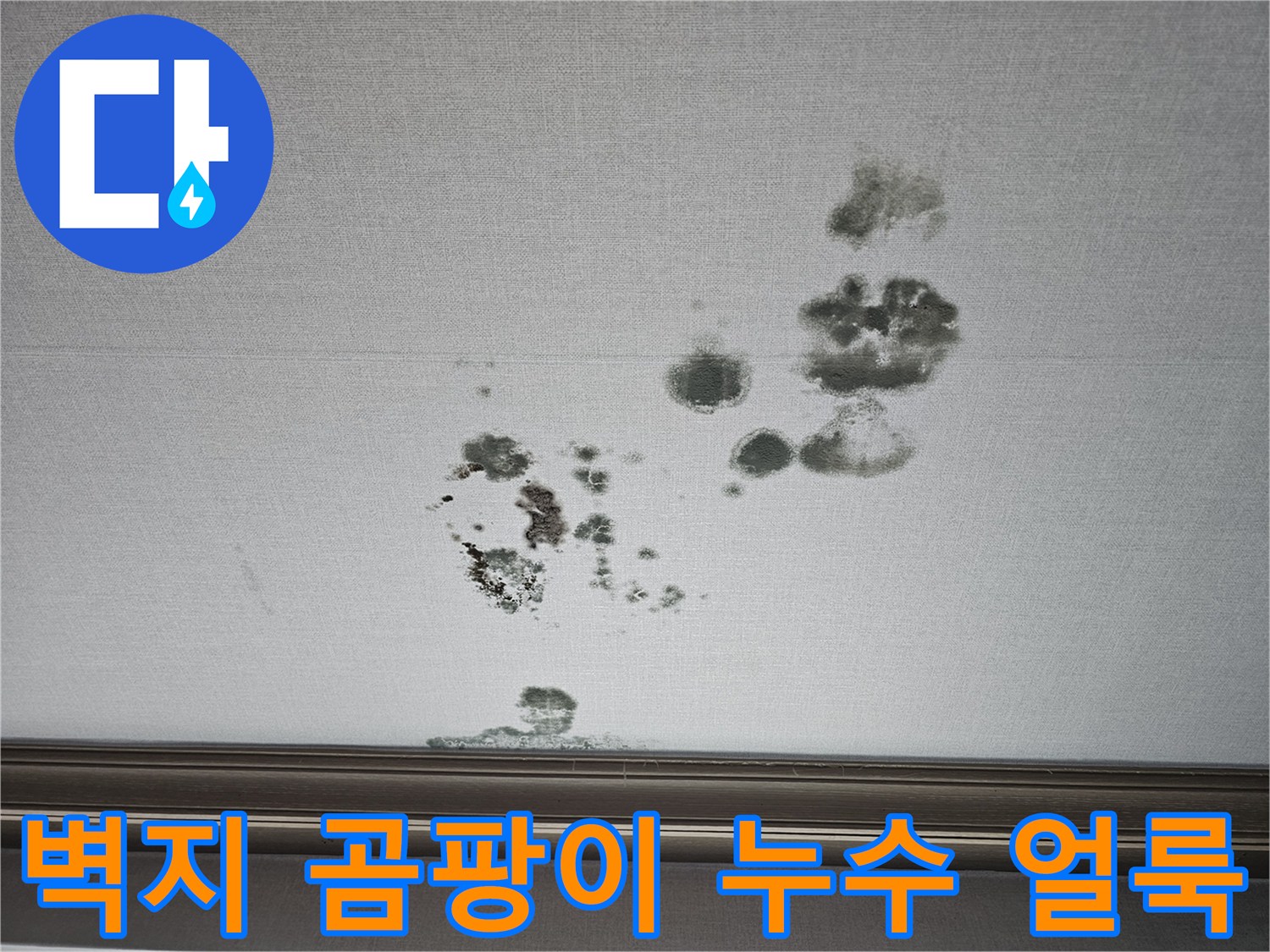상가주택 거실-천장 벽지에 나타난 짙은 누수 흔적과 곰팡이