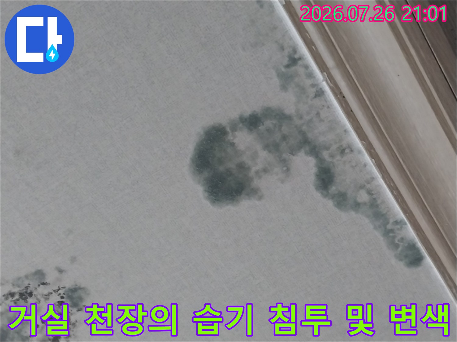 천장 마감재에 곰팡이와 물샘으로 인한 어두운 얼룩이 형성된 모습