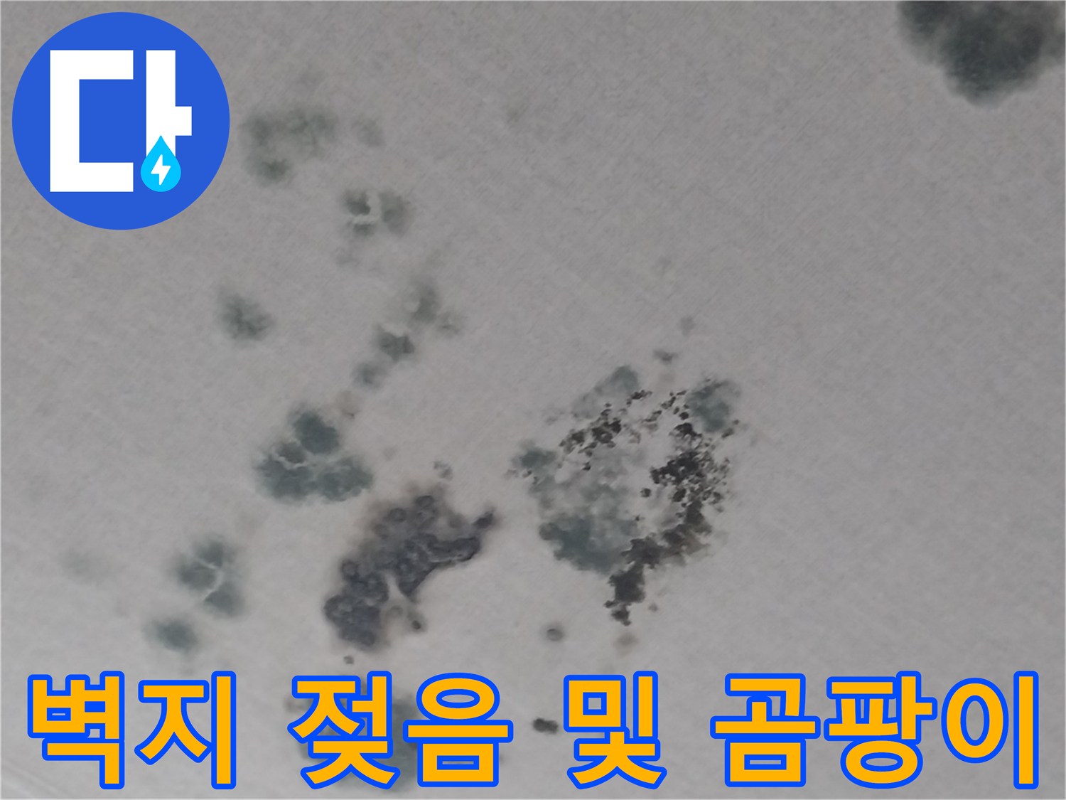 천장 벽지에 나타난 불규칙한 형태의 곰팡이와 물자국