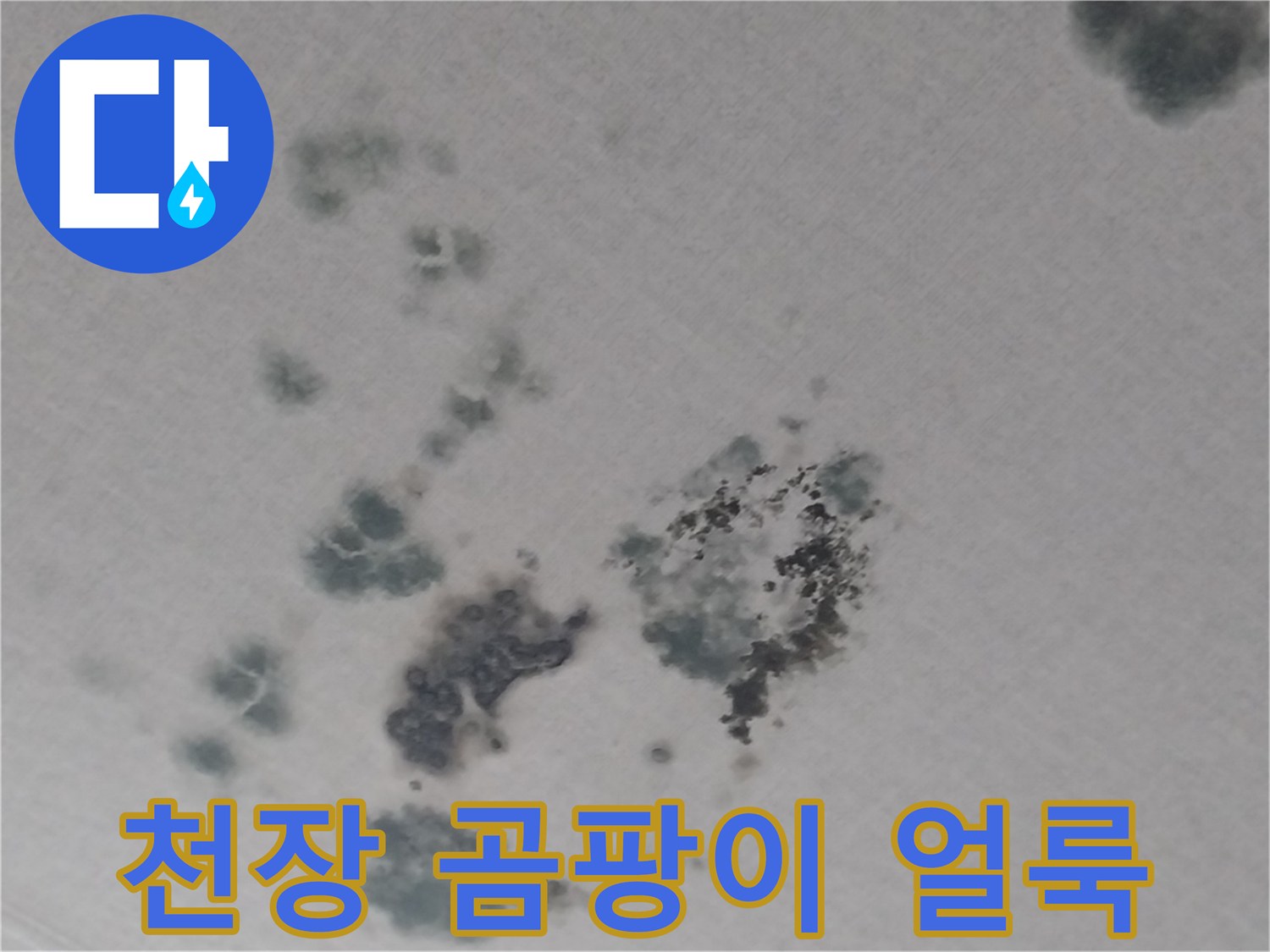 화성 동탄 상가주进行하는 거실 천장 벽지 곰팡이 및 물젖음 현상 사진