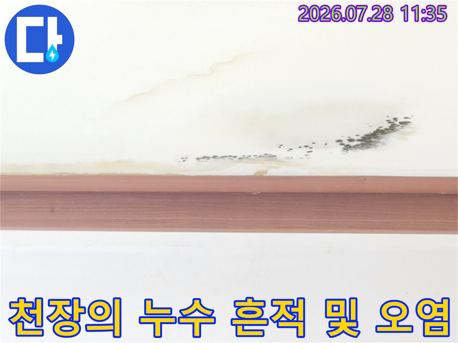 거실 천장에 형성된 곰팡이와 물자국을 통한 누수 경로 추적 자료