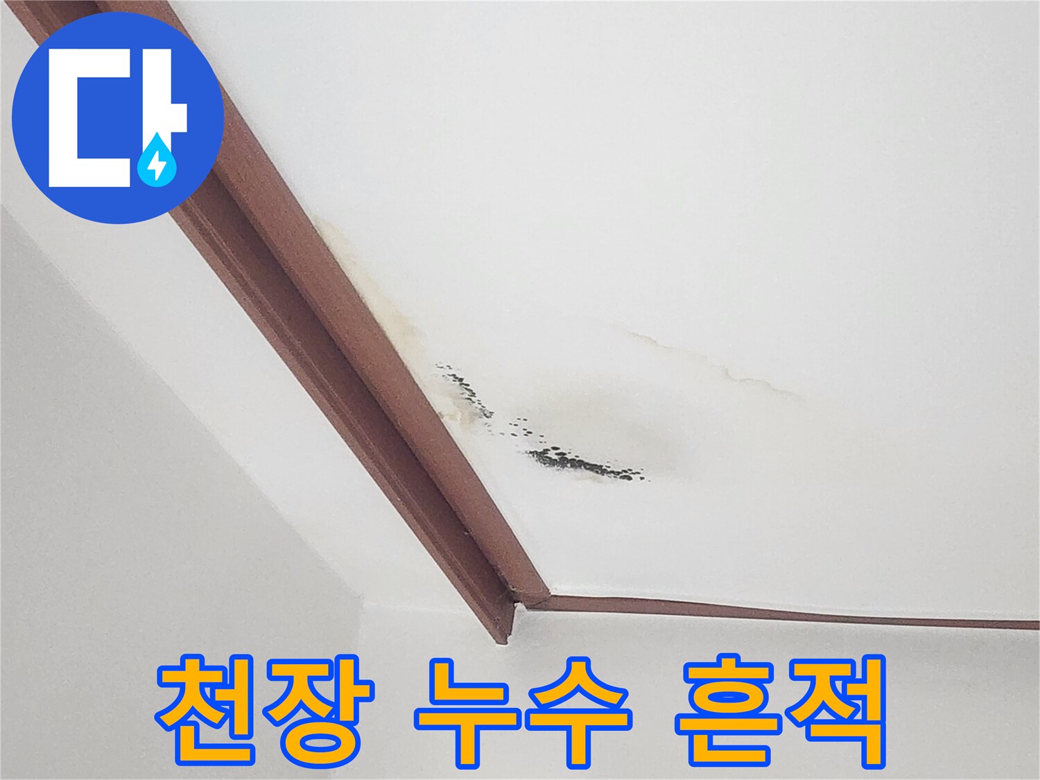 벽면 상단부의 누런 물 얼룩과 곰팡이 발생 부위