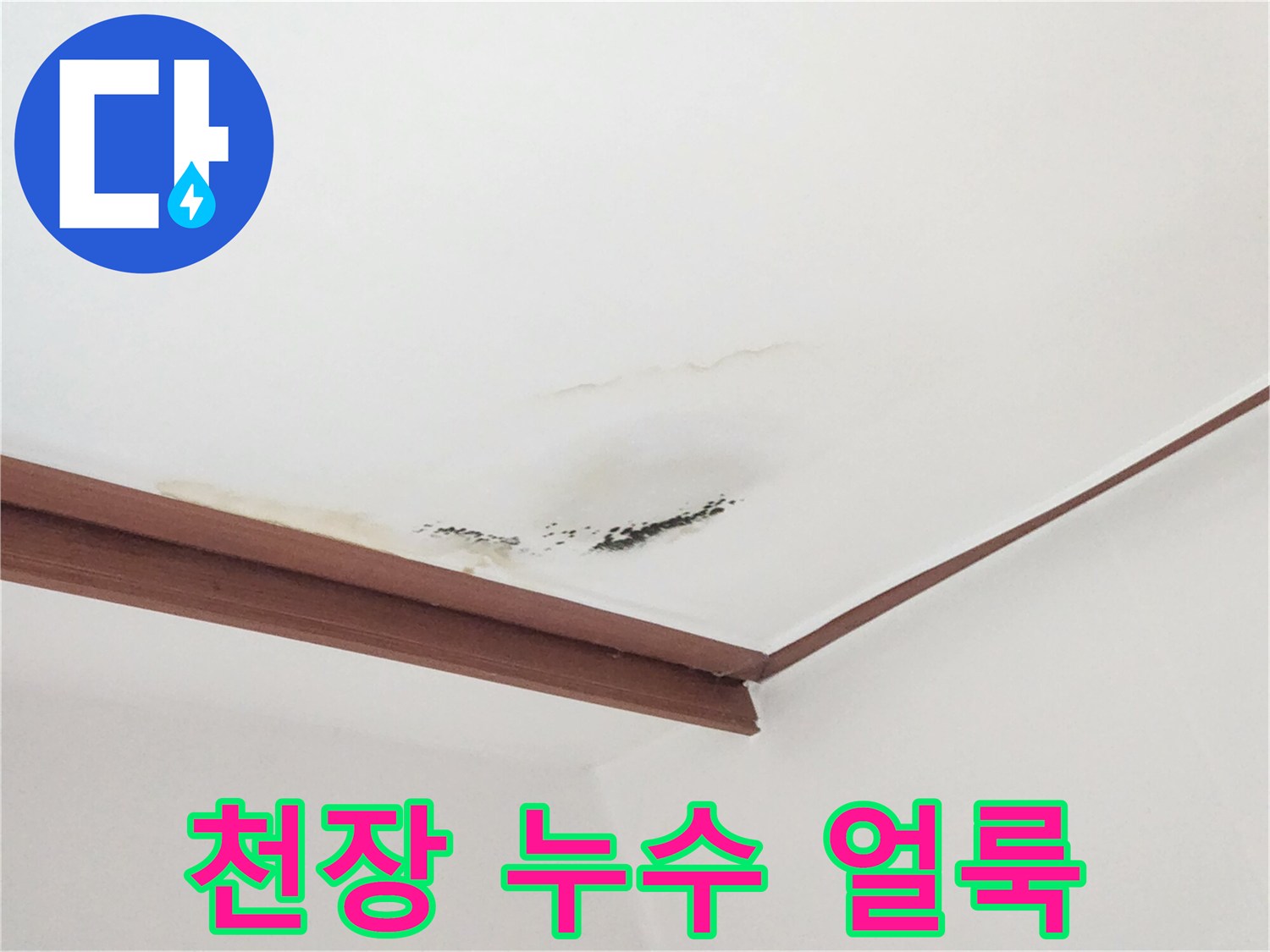 천장 몰딩 근처에 번진 누수 흔적과 곰팡이