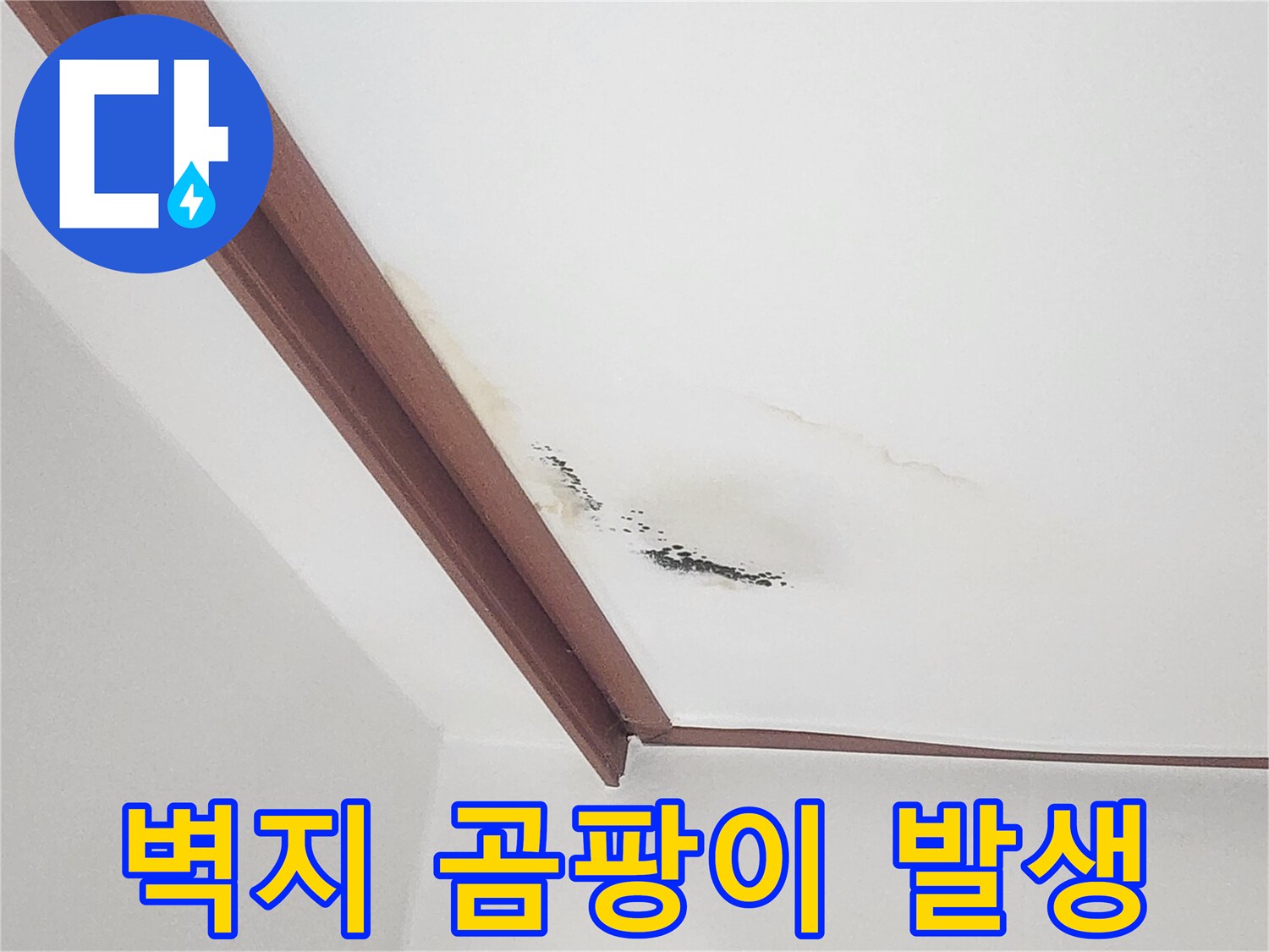 천장 몰딩 아래로 번진 물 얼룩과 곰팡이 오염 부위