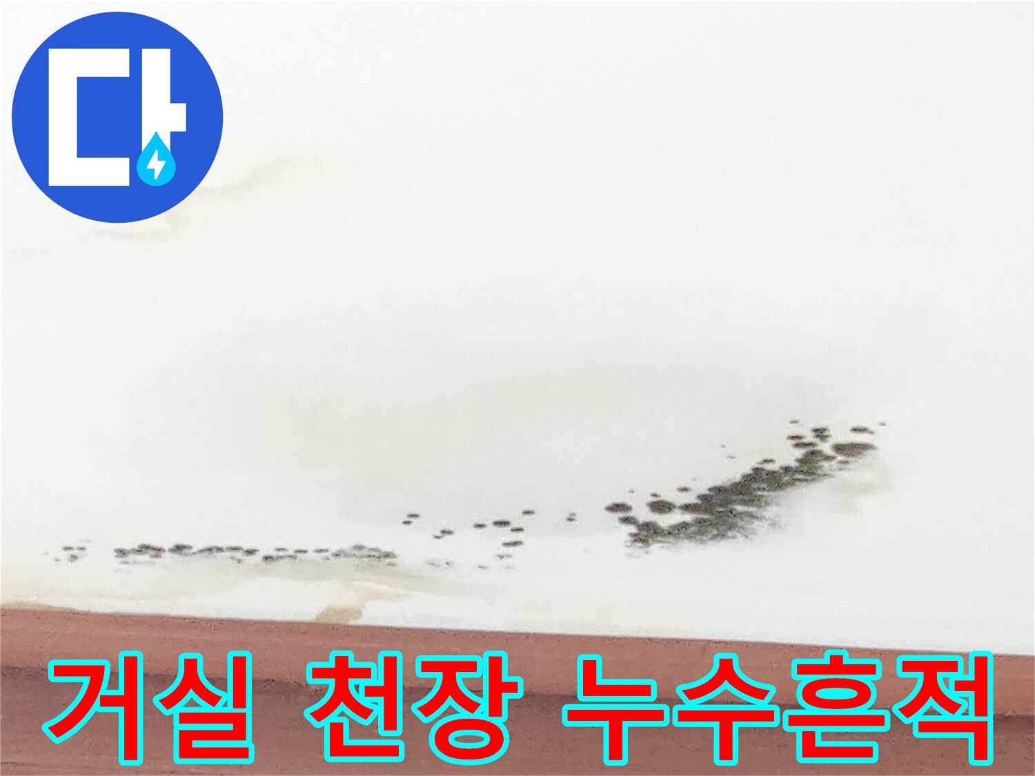 하얀 벽지에 나타난 갈색 물 얼룩과 곰팡이 흔적