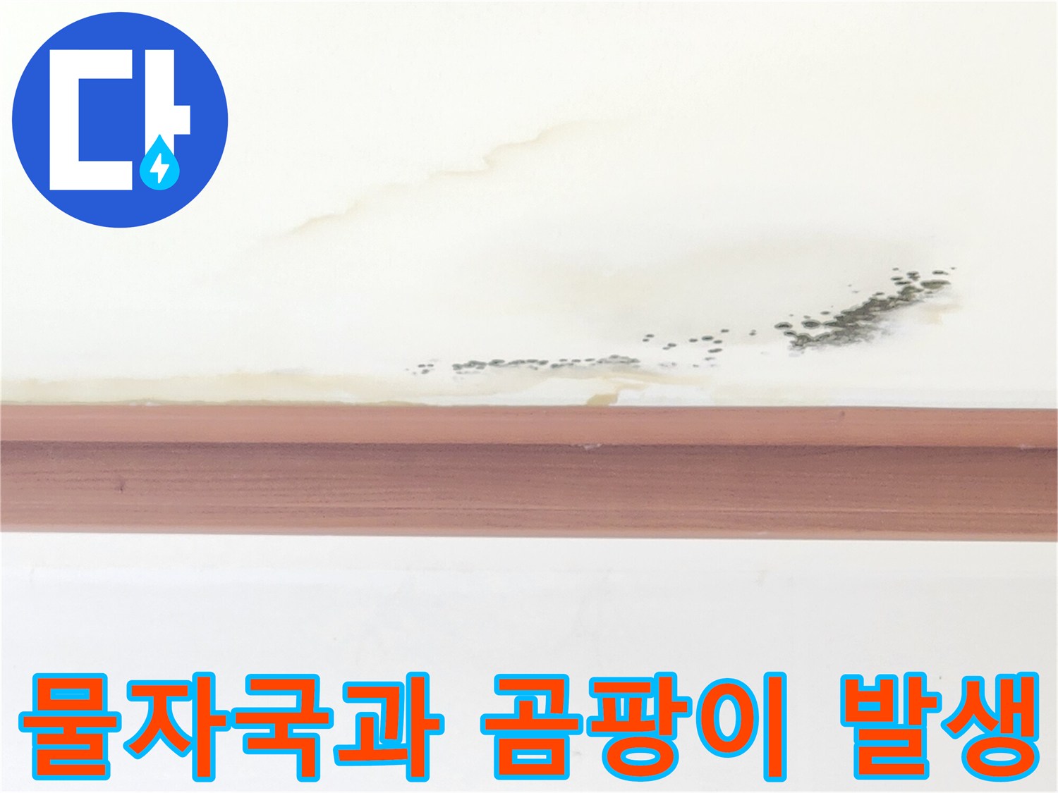 흰색 천장에 나타난 누런 수분 얼룩 및 검은 곰팡이 분포