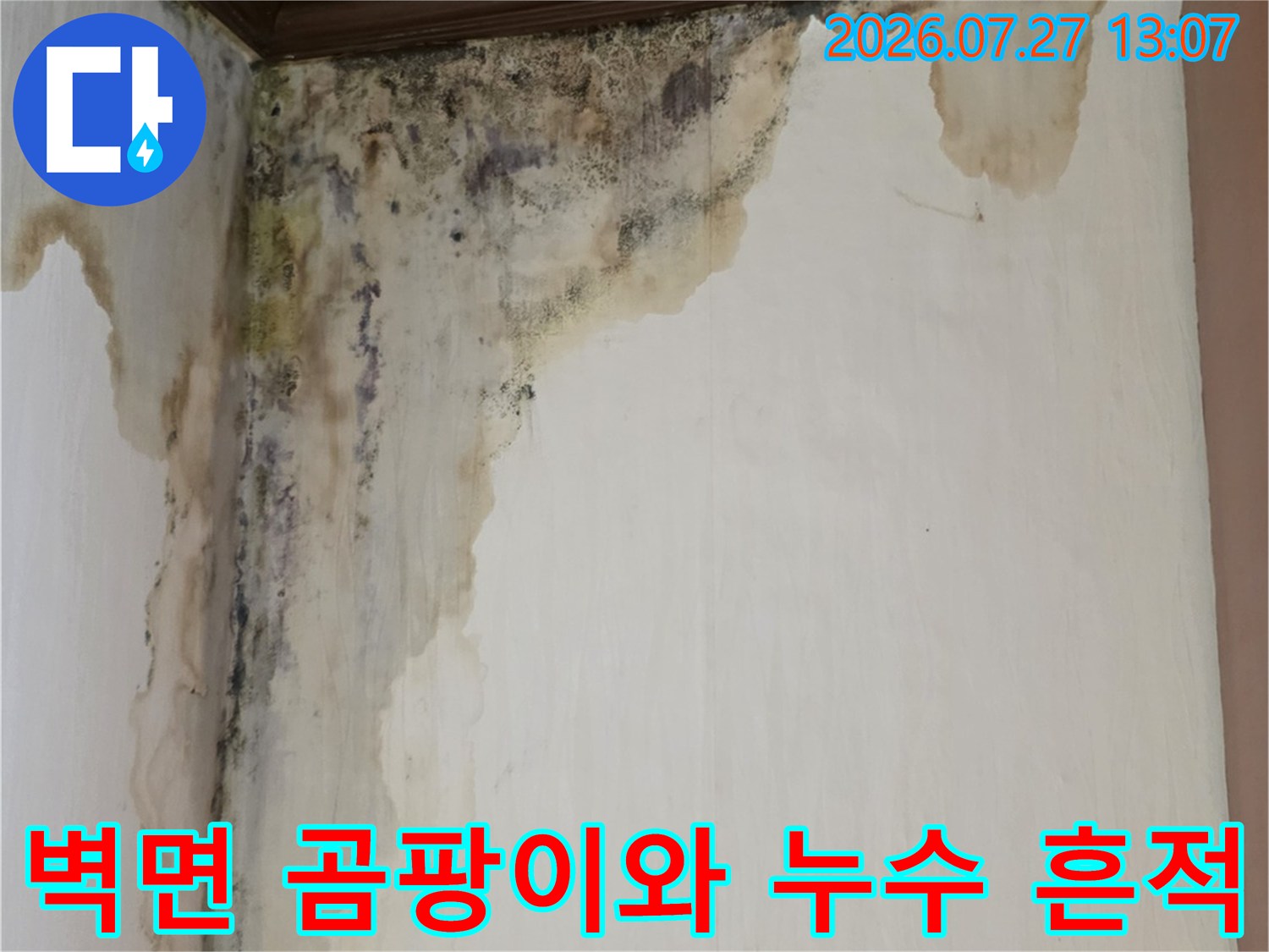천장 모서리와 벽면에 검은색 곰팡이가 심하게 피어있고 벽지가 변색된 모습