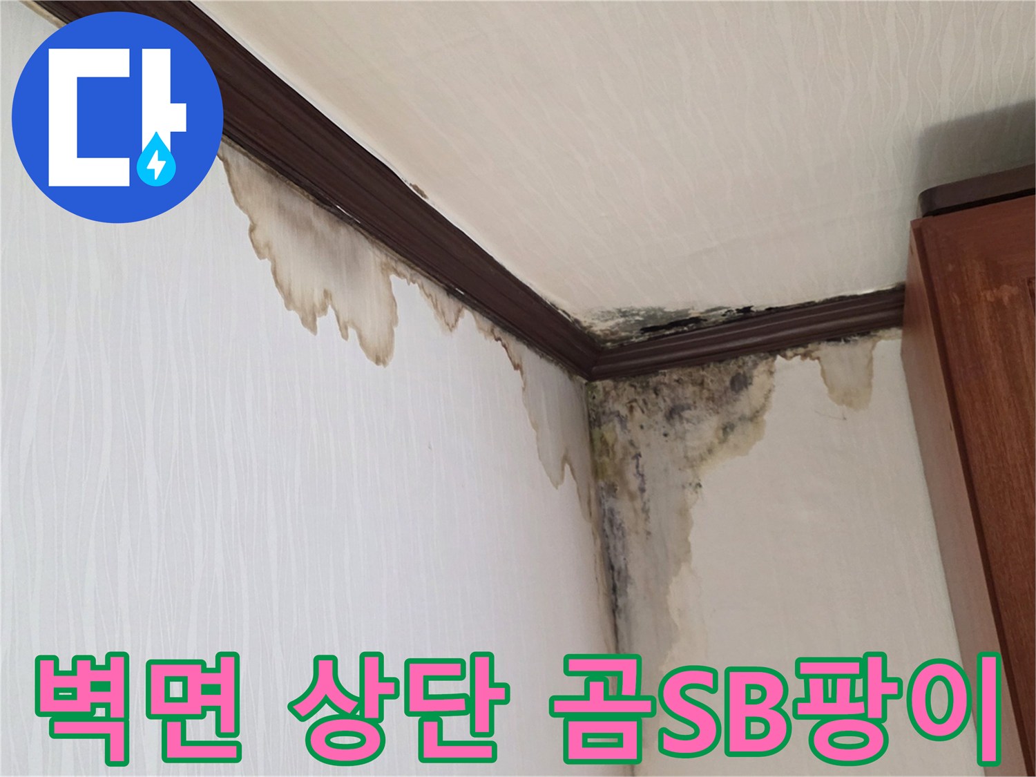 천장 몰딩 아래쪽으로 번진 검은 곰팡이와 습기 흔적
