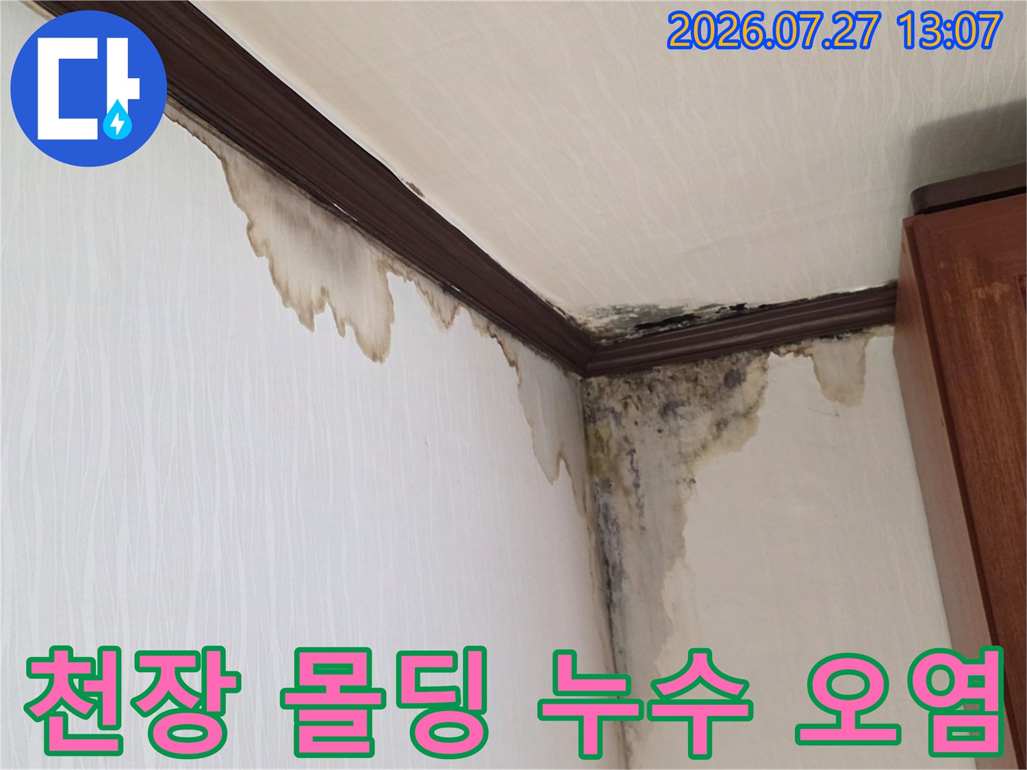 천장 상단-벽면 경계선을 따라 발생한-심각한 누수 얼룩과 곰팡이 번짐 현상