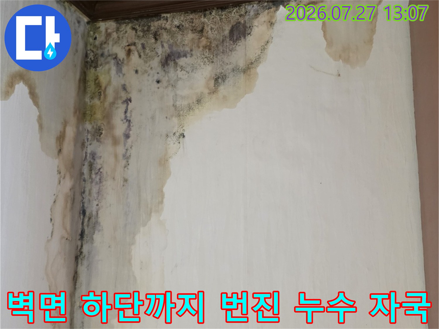 천장에서 내려온 물줄기로 인해 벽지가 젖고 곰팡이가 생긴 모습-누수 피해 현장