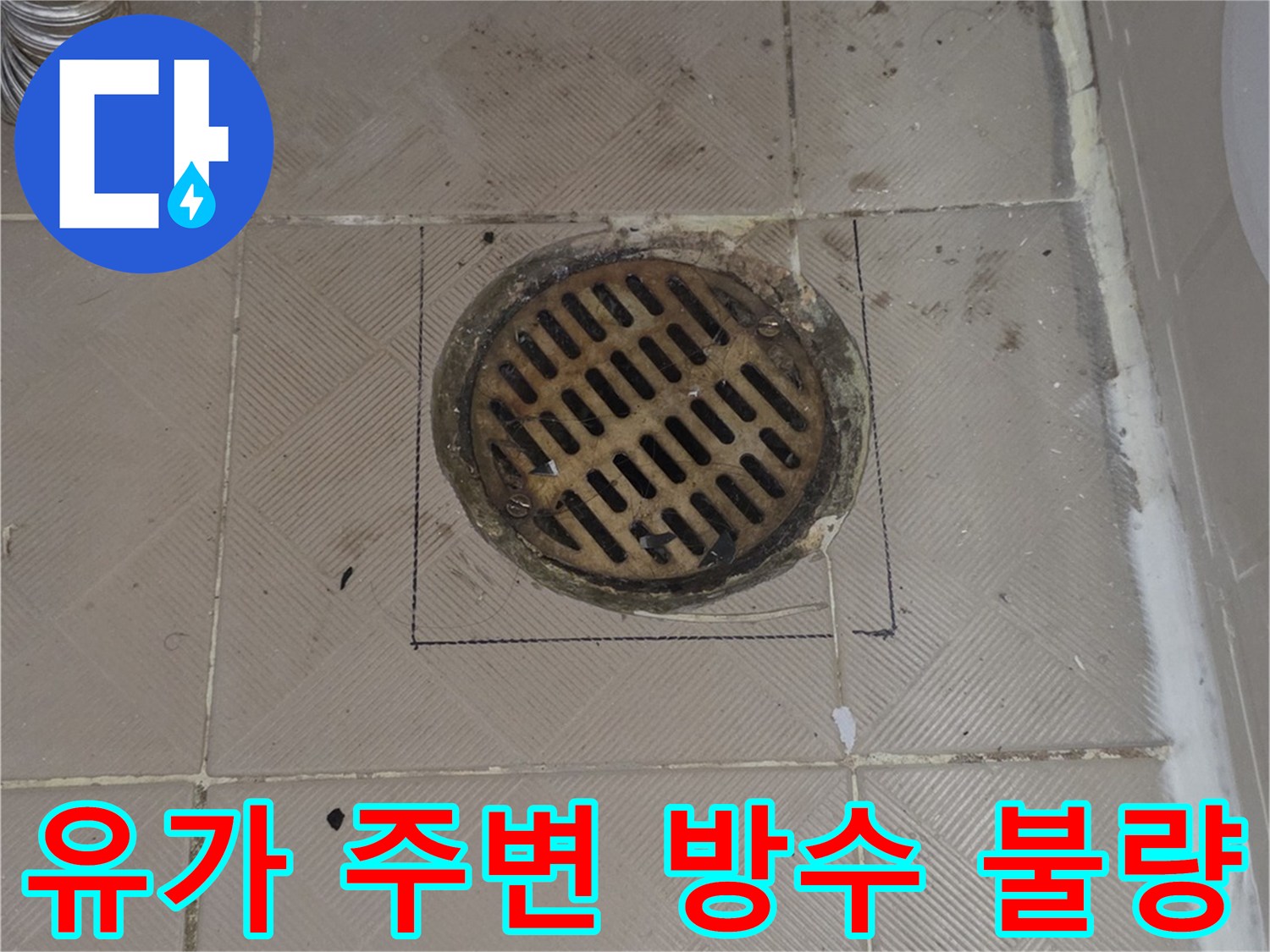양천구 신월동 욕실-배수구 유가 테두리 균열 상태