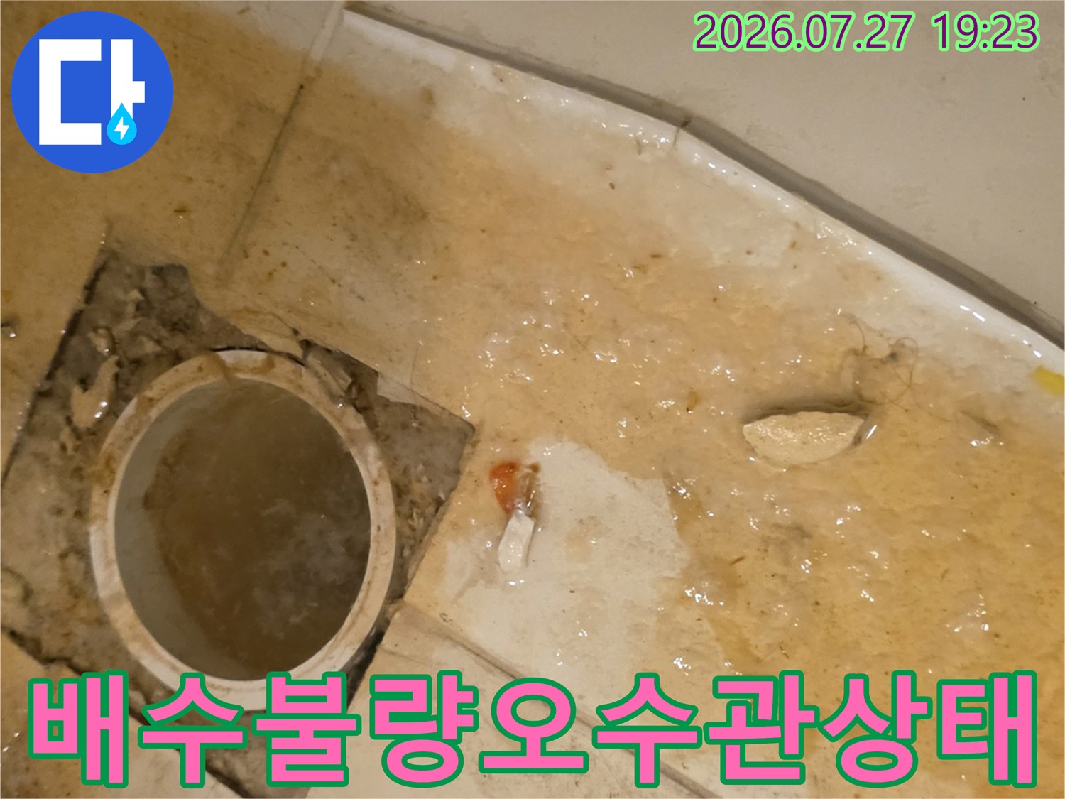 물과 찌꺼기가 가득 고여 있어 내부가 보이지 않는 오수관 입구 모습