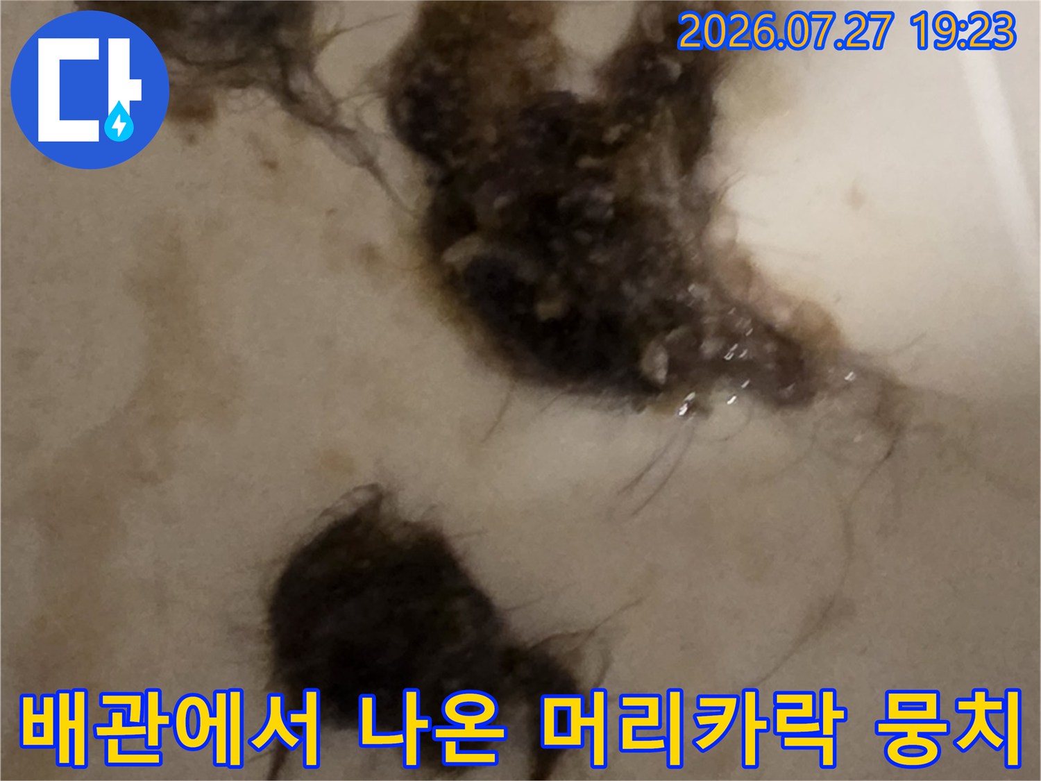 오수관 내부에서 샤프트 장비를 통해 인출된-검은색 머리카락과 오물 덩어리들