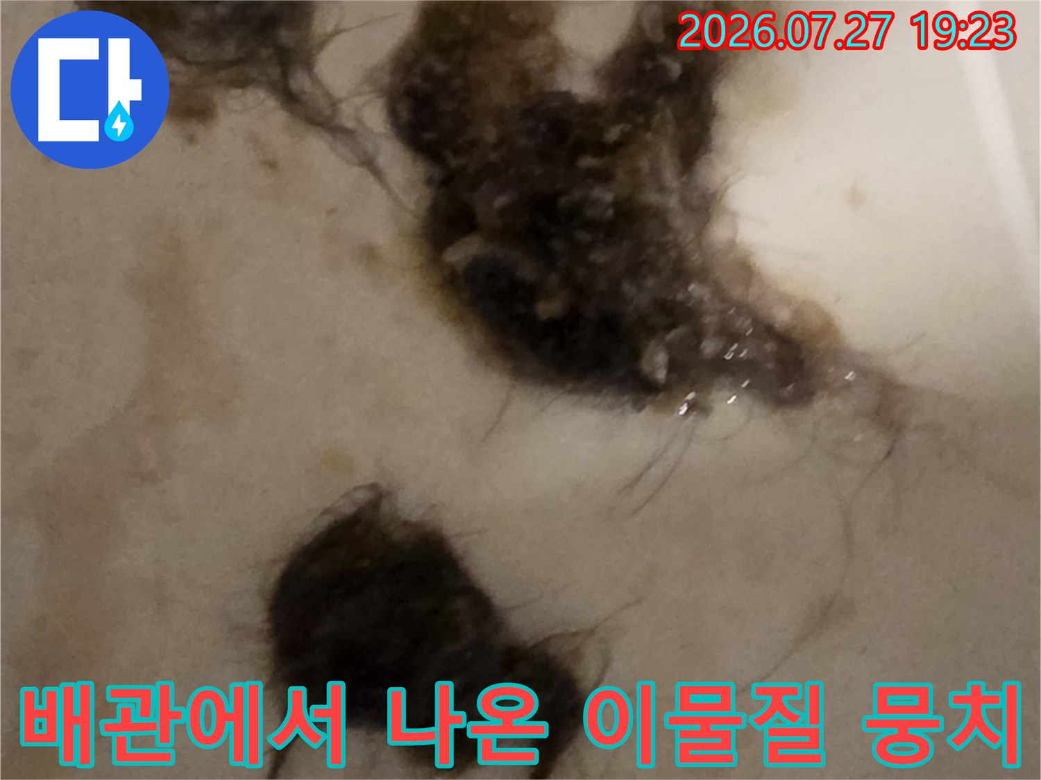 흰색 바닥 위에 놓인-머리카락과 슬러지가 섞인-검은색 이물질 덩어리들