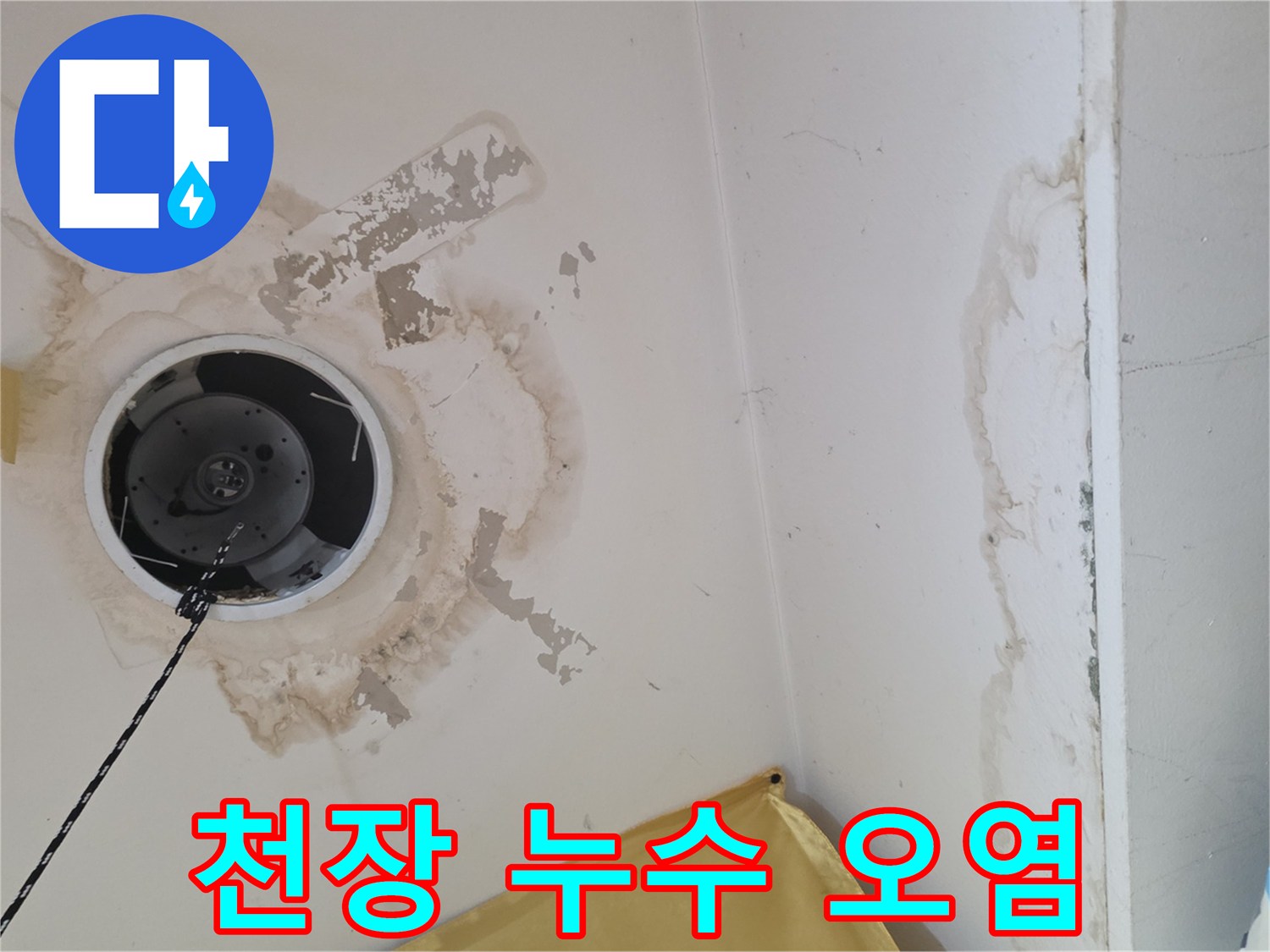 누수가 발생한-천장 등기구 주변의 얼룩 상태