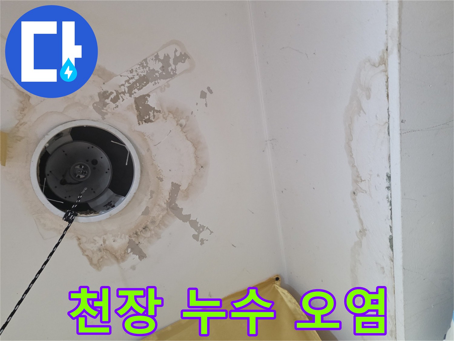 물샘으로 인해 젖고 변색된 천장 조명 주변부