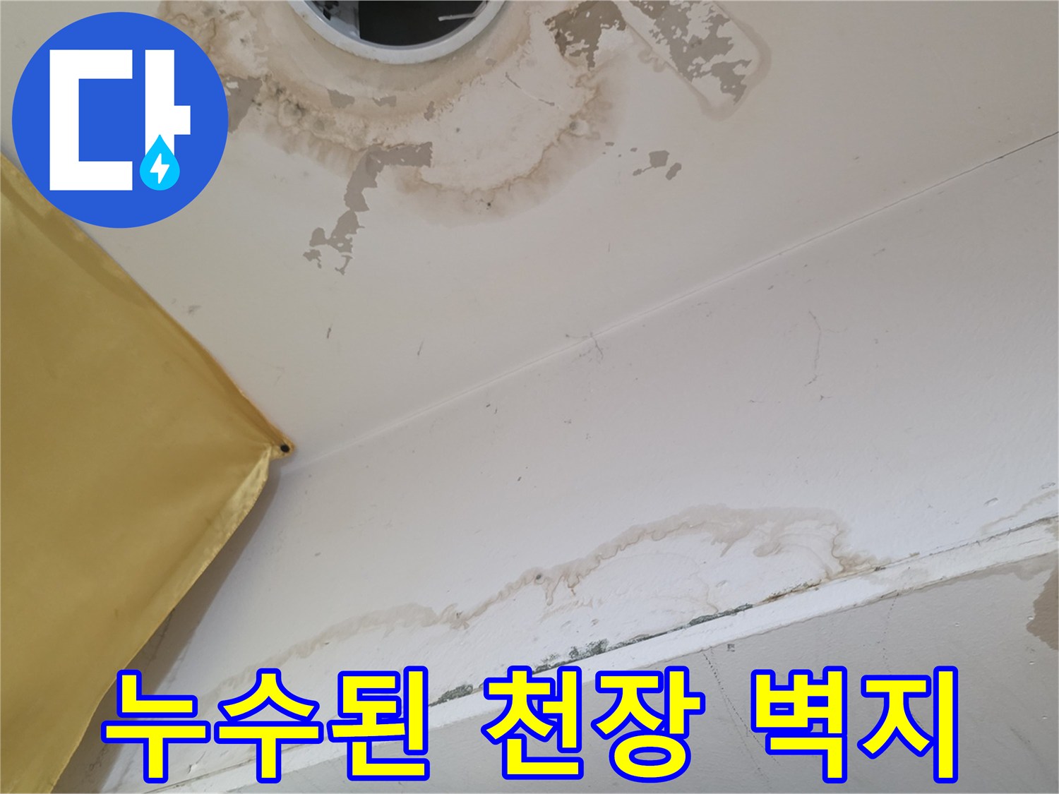 천장 마감재 부위의-누수 오염 흔적 촬영