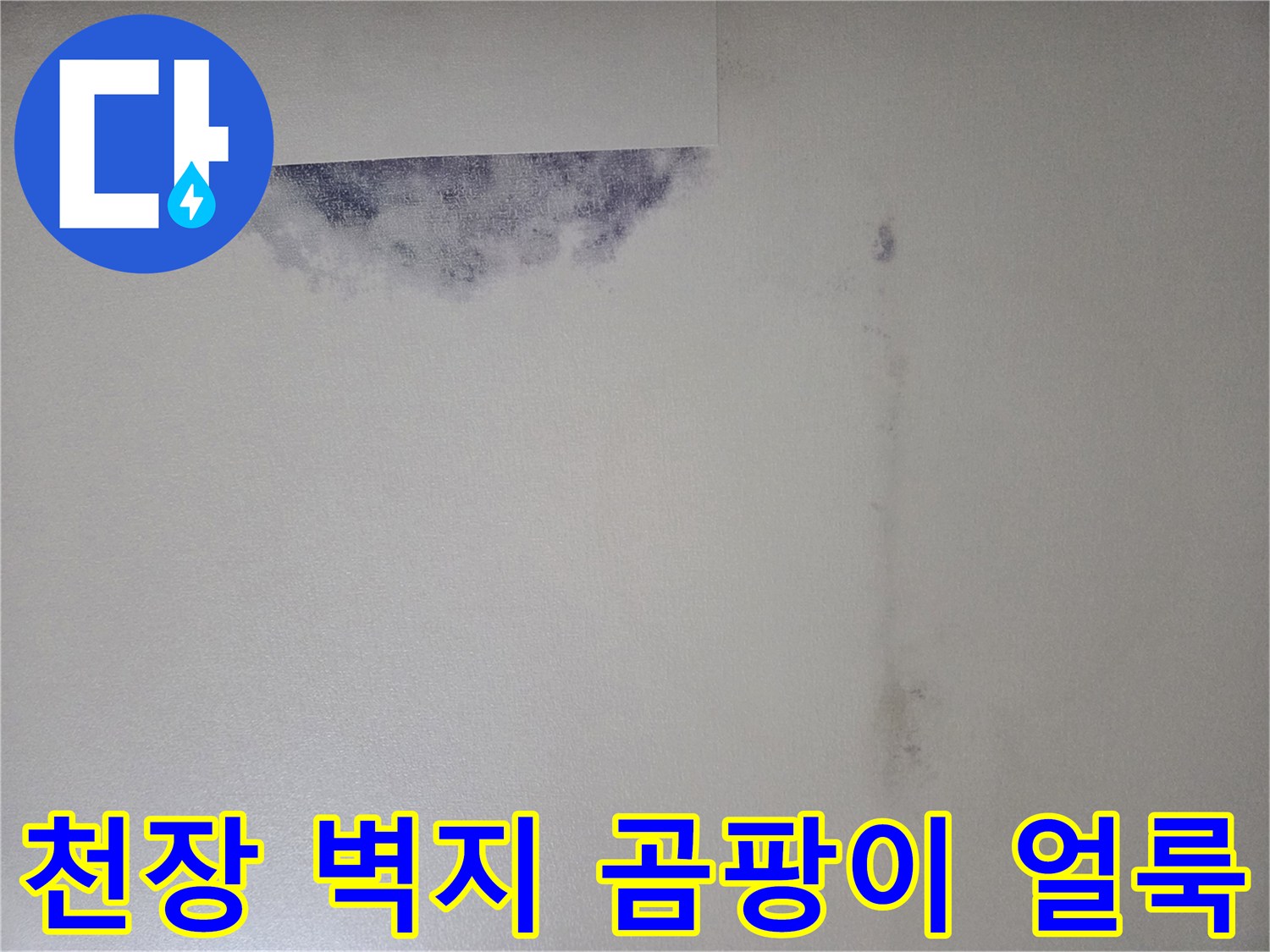 강서구 화곡동 아파트 천장 벽지에 발생한 곰양과 변색된 흔적