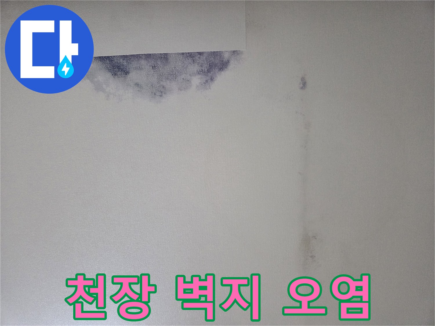 화곡동 현장-벽면 상단부의 젖은 자국과 곰팡이