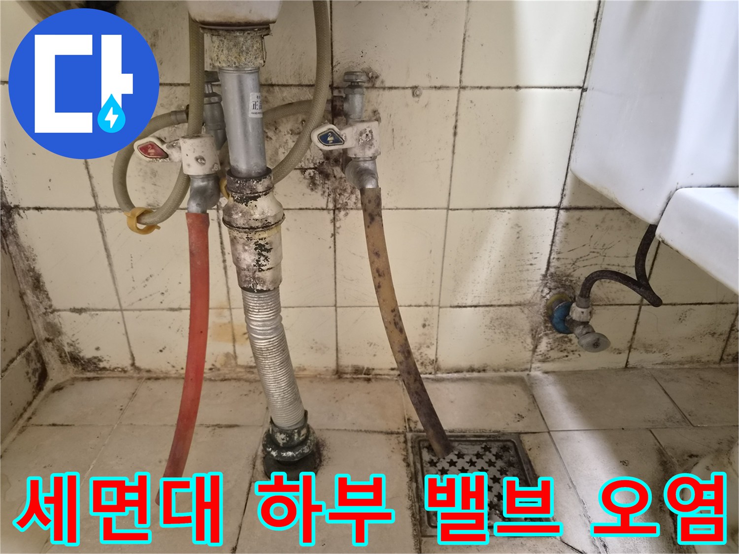 곰팡이가 발생한 세면대 아래쪽 급수 및 배수 배관 상태