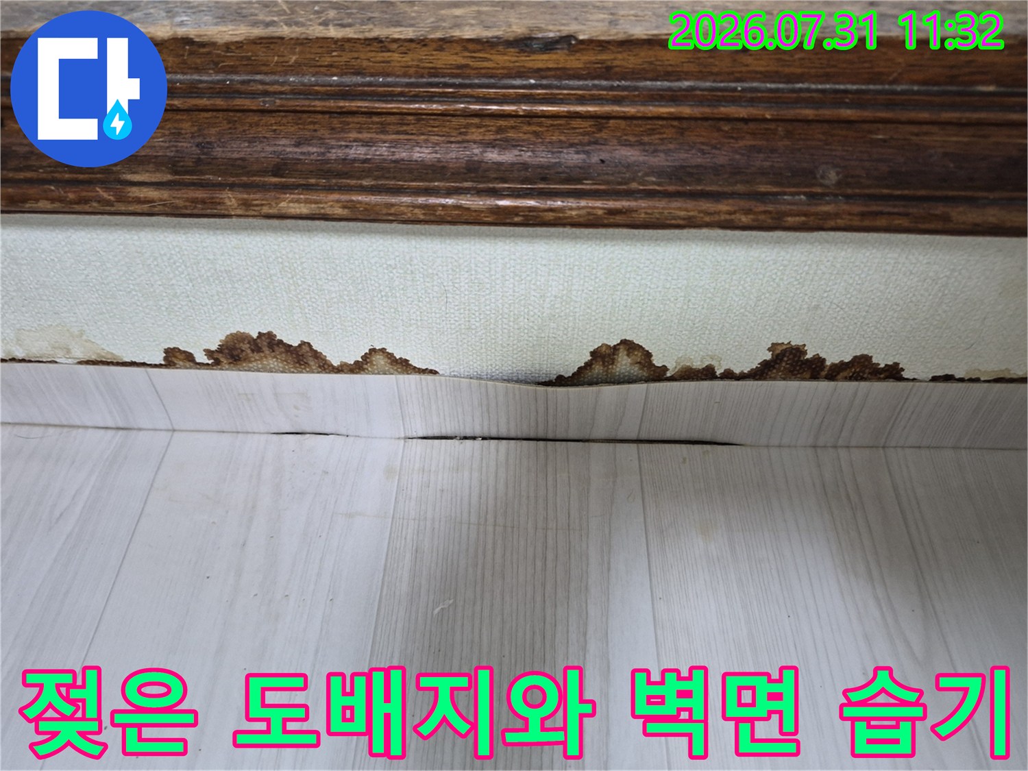 물에 젖어 들뜬 흰색 도배지와 마찰로 인해 손상된 하단부 모습