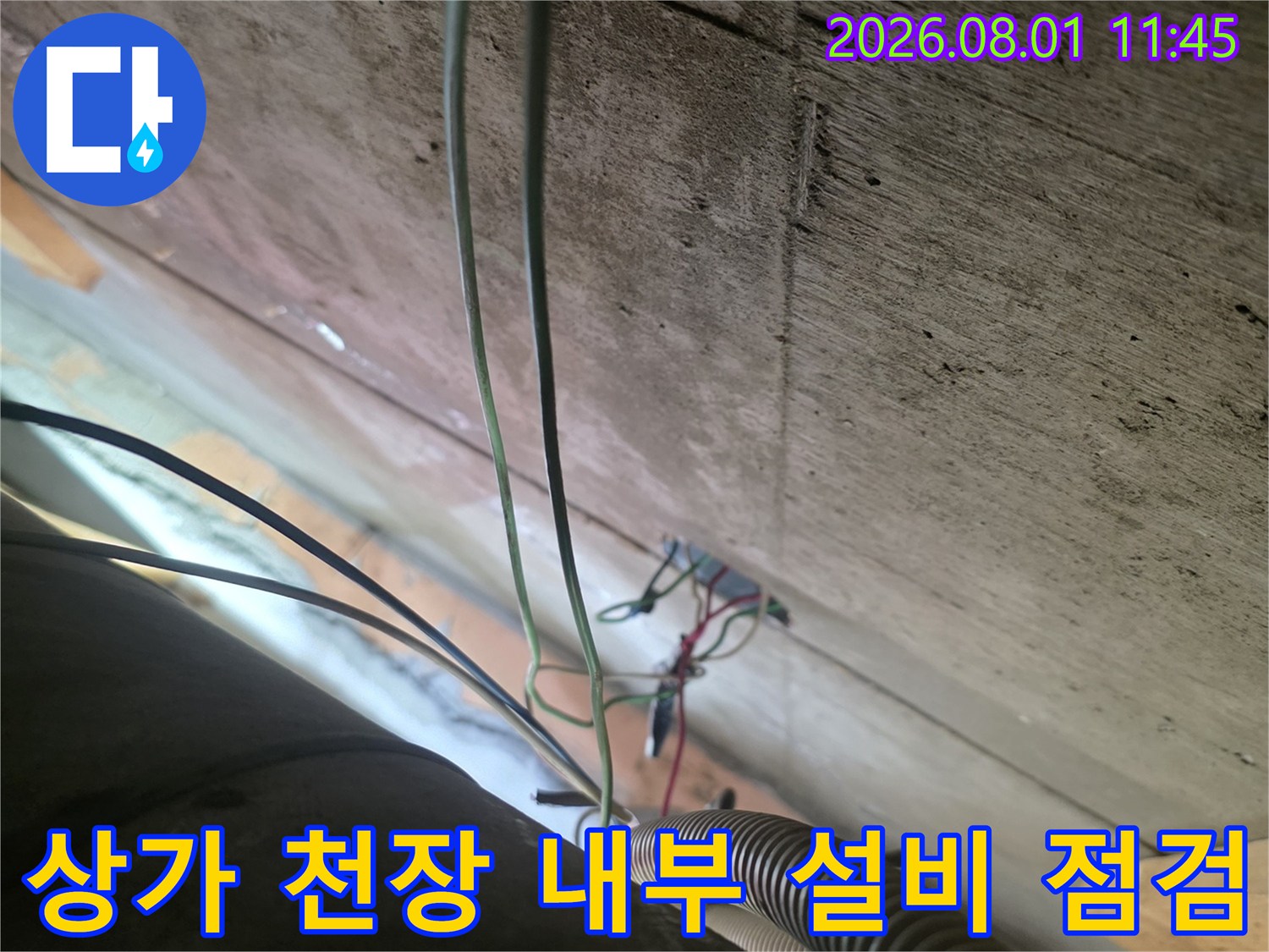 복잡한 배선과 배관이 얽힌 천장 안쪽을 조사하는 모습