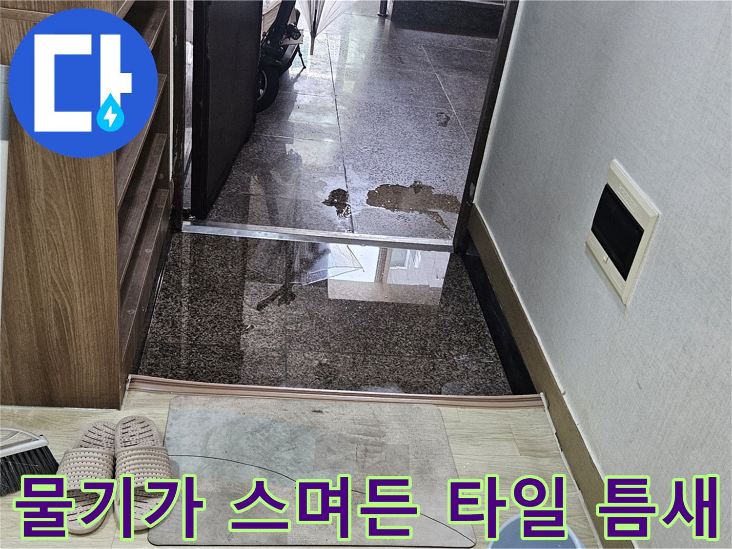 현관 입구-습기가 올라온 타일 표면 사진