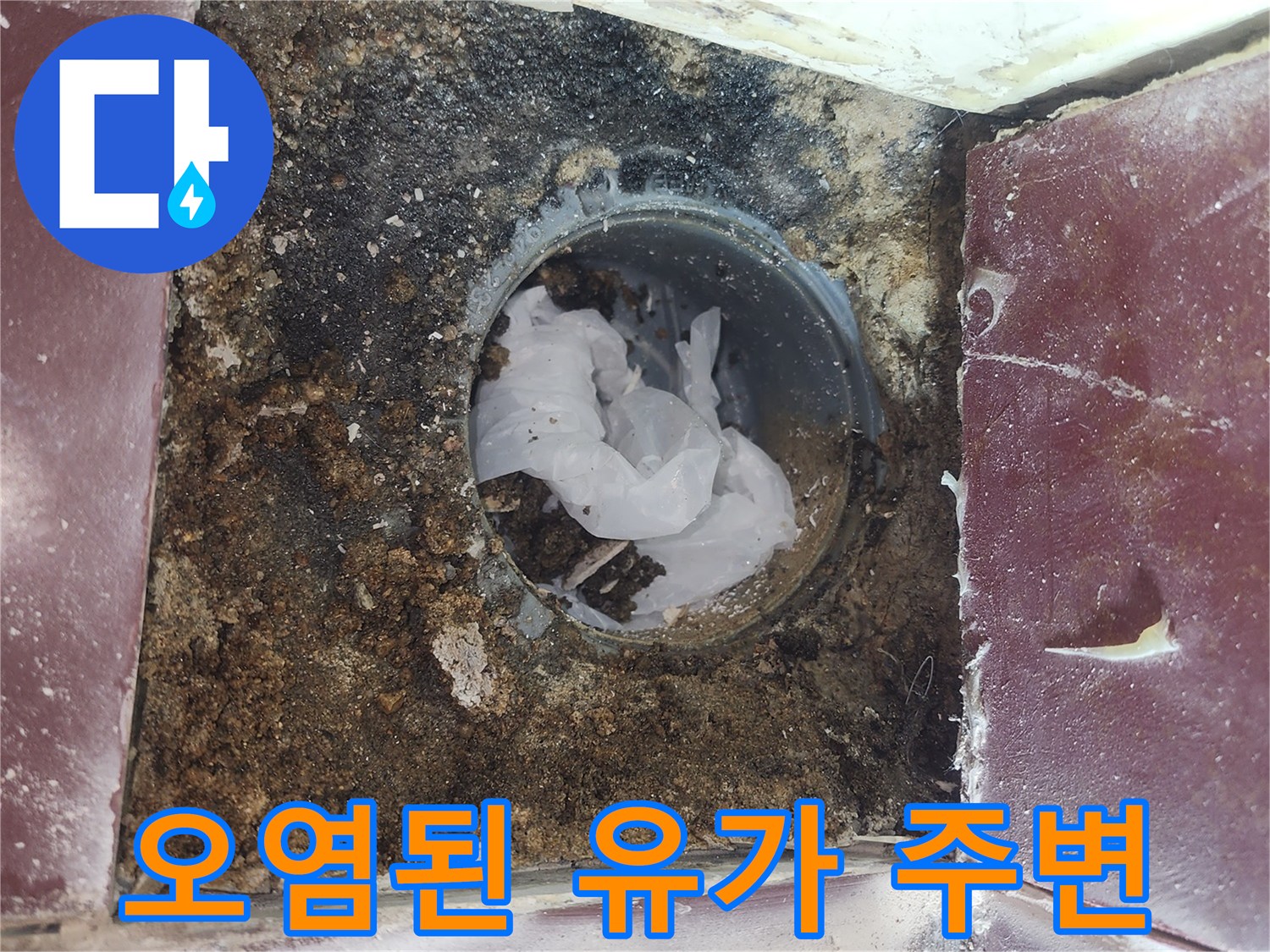 배수구 안쪽의 이물질과 타일 틈새의 오염 상태를 촬영한 사진