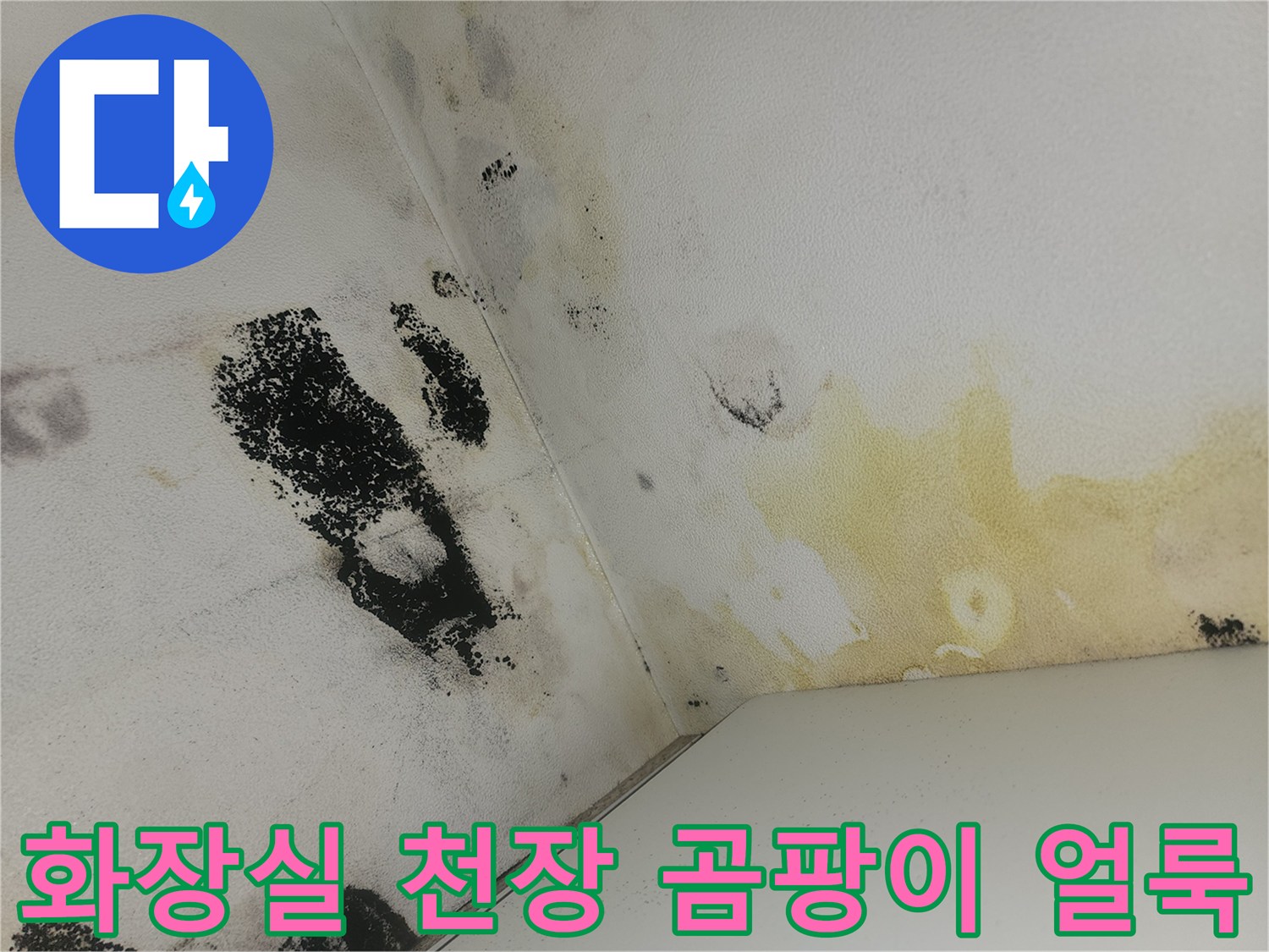 양천구 화장실 벽면-검은색 곰팡이와 노란 물자국 현상