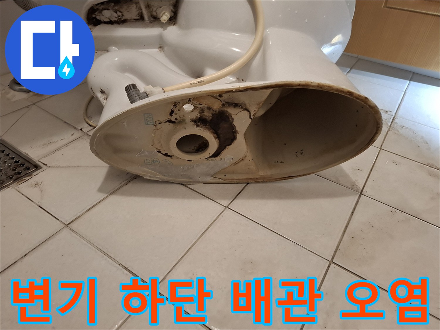 오수관 주변에 검게 나타난 곰팡이와 오염된 바닥 상태