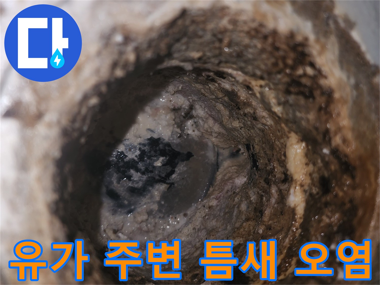 배수구 유가 내부의 찌꺼기와 습기가 가득한 모습입니다.
