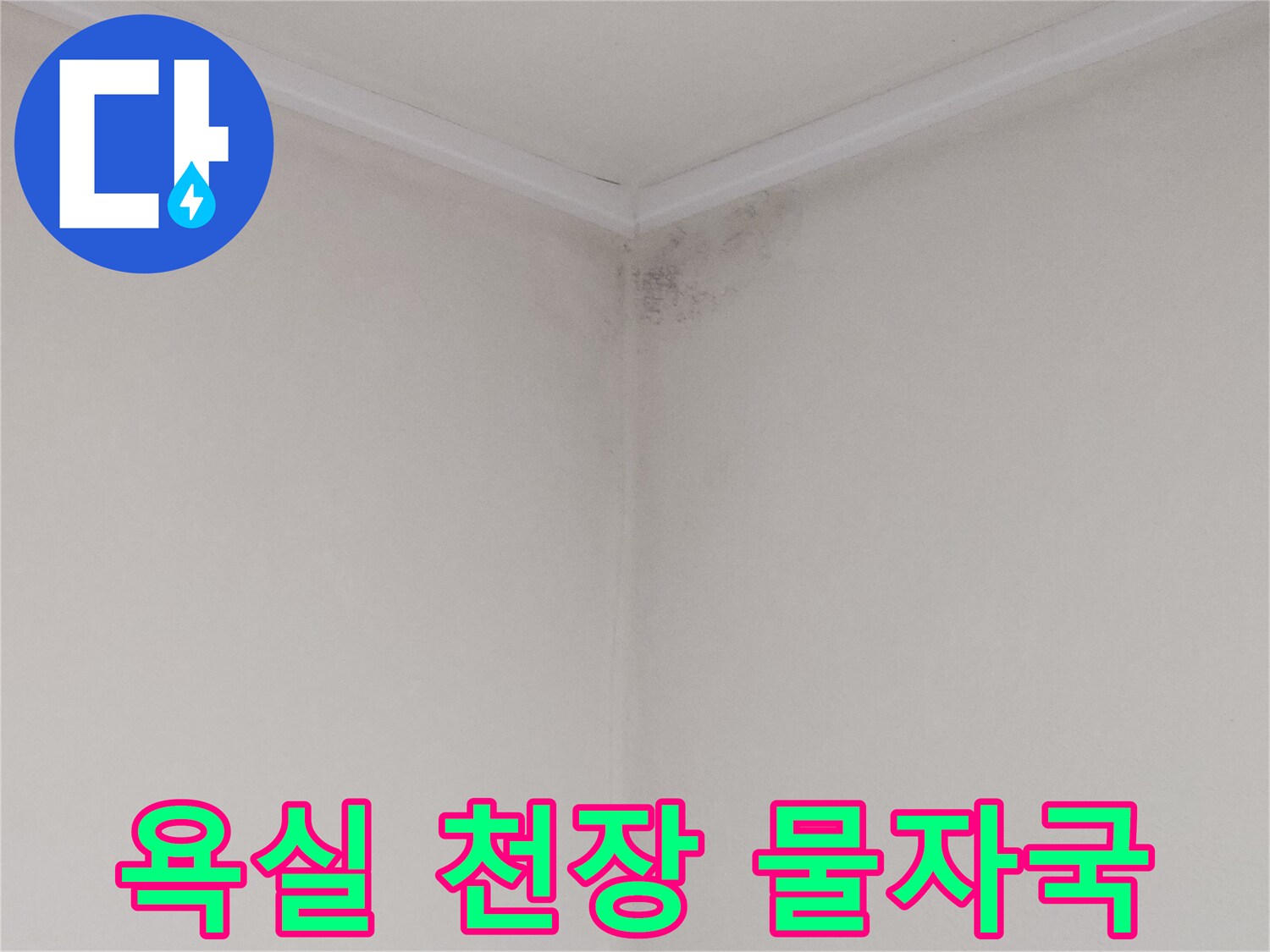 아래층 욕실-천장 구석의 젖은 흔적과 오염 부위