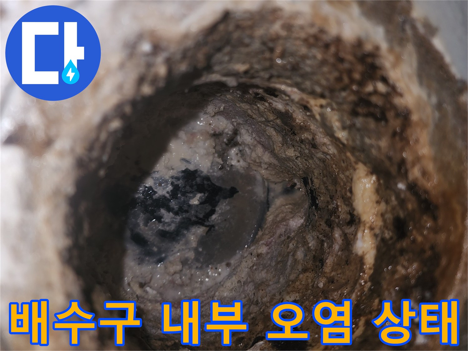 지저분하게-오염된-욕실-배수구-내부-모습