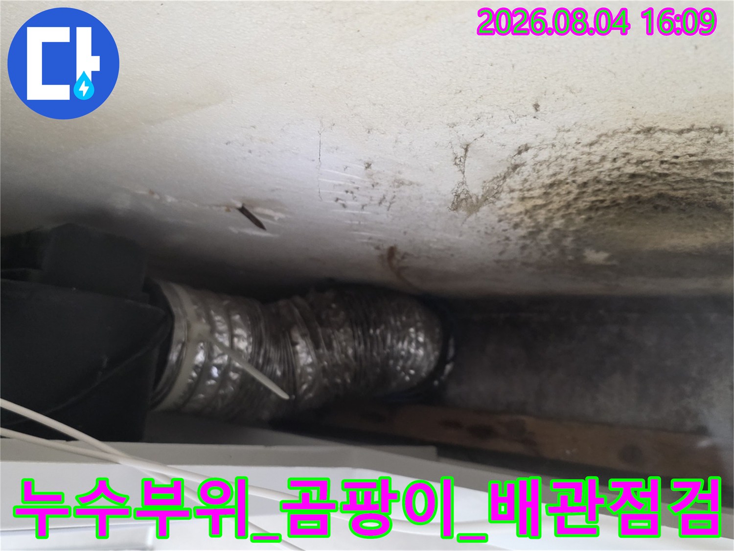 천장 곰팡이와 노출된 배관 연결부의 누수 여부를 확인하는 모습