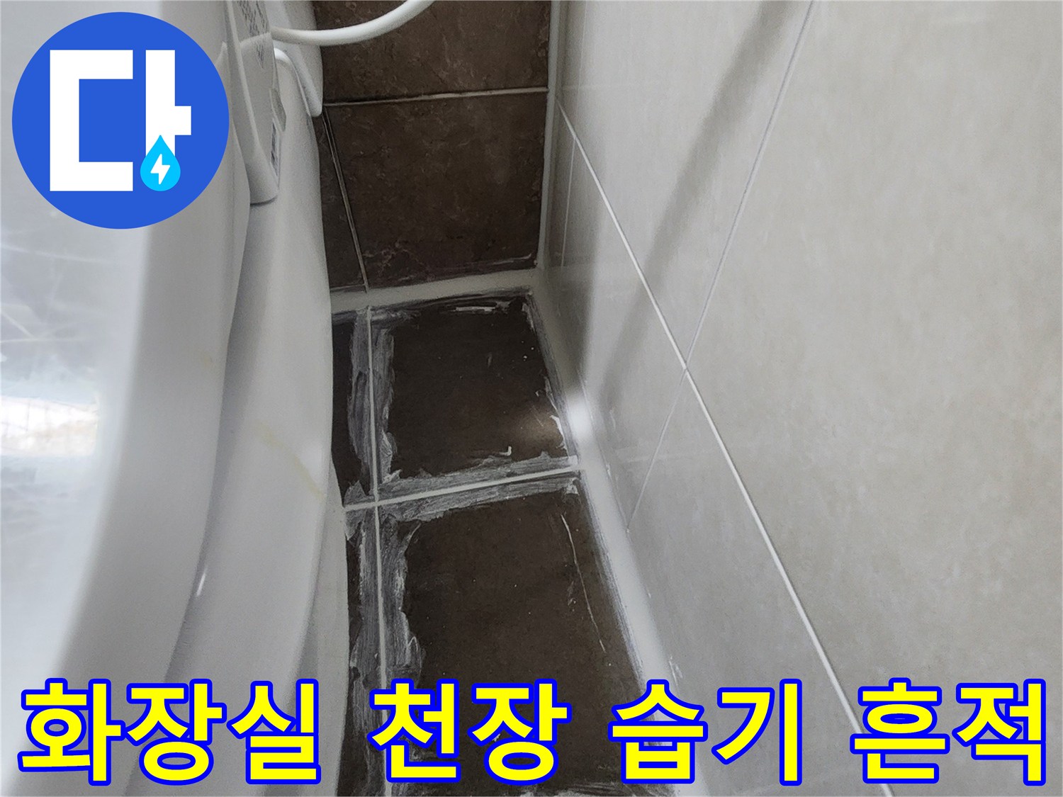 천장-타일-틈새에-남은-물때와-습기-자국