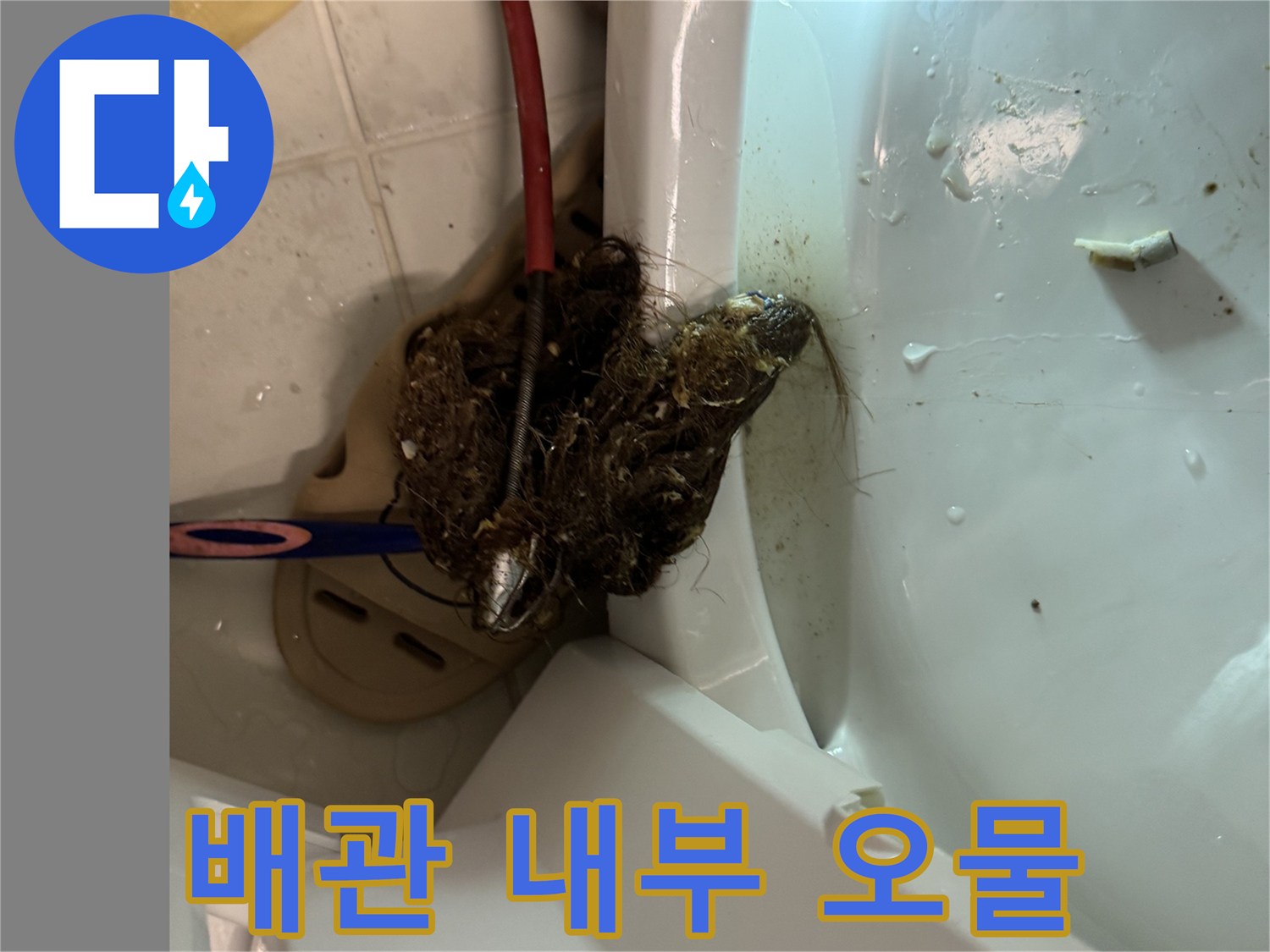 오수관 내부에 쌓여 있는 머리카락과 이물질 뭉치