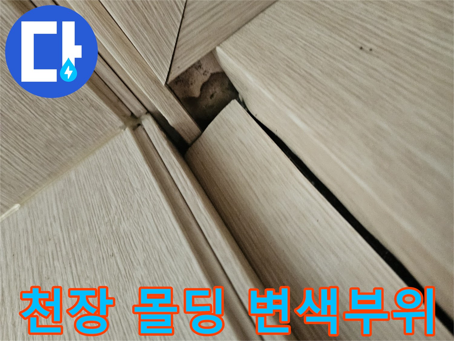 천장 마감재 사이의 어두운 누수 얼룩
