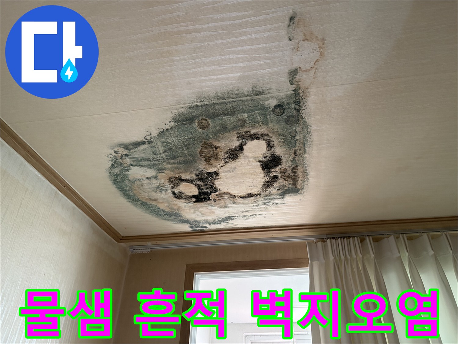 천장 벽면 - 젖은 벽지와 함께 발생한 검은색 곰팡이 오염 부위