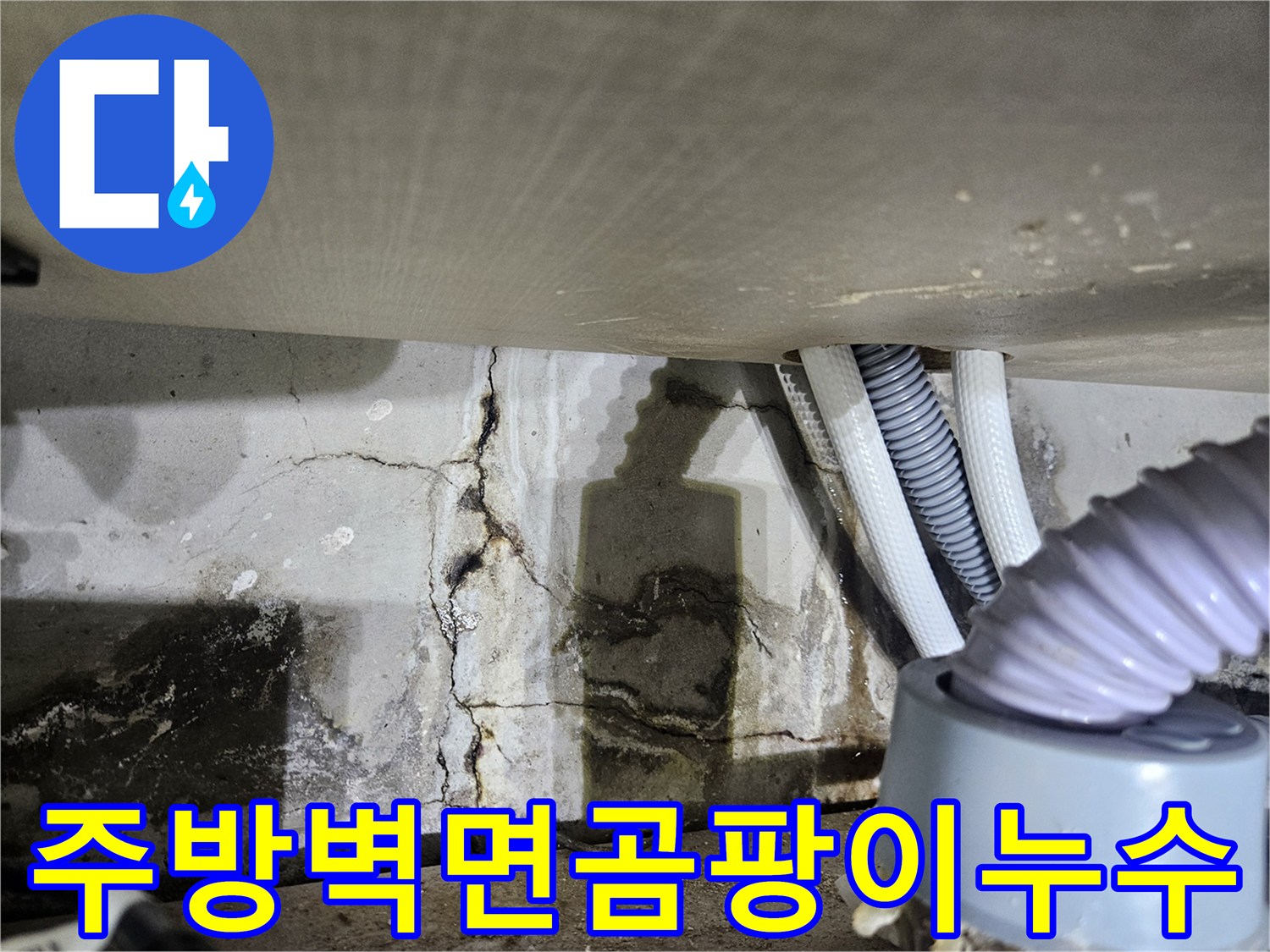 싱크대-하단-배관-주변의-곰팡이와-습기흔적