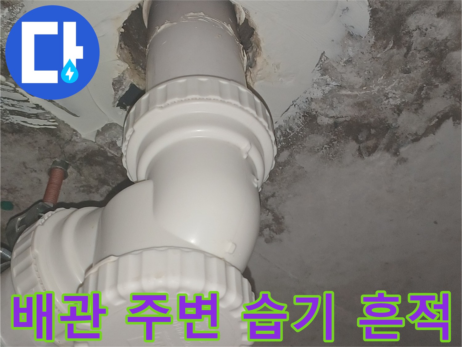 천장-배수관-주변의-심한-곰팡이와-물자국-발생