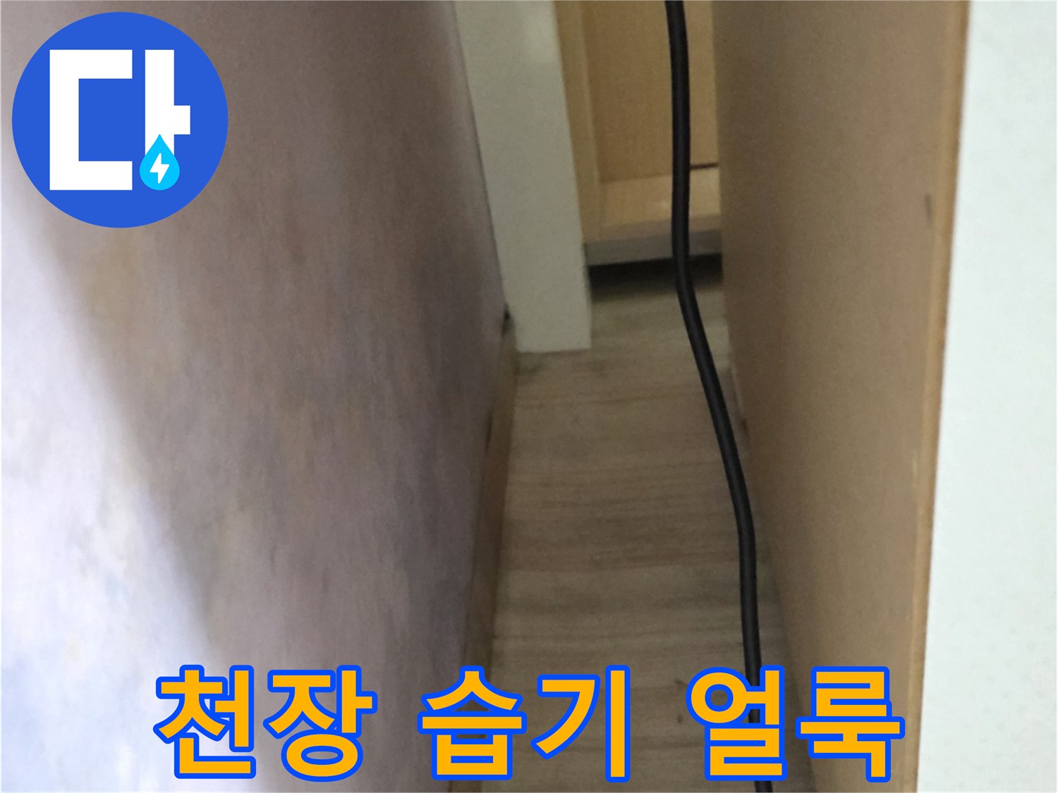 습기로 인해 오염된 천장 벽면의 근접 촬영
