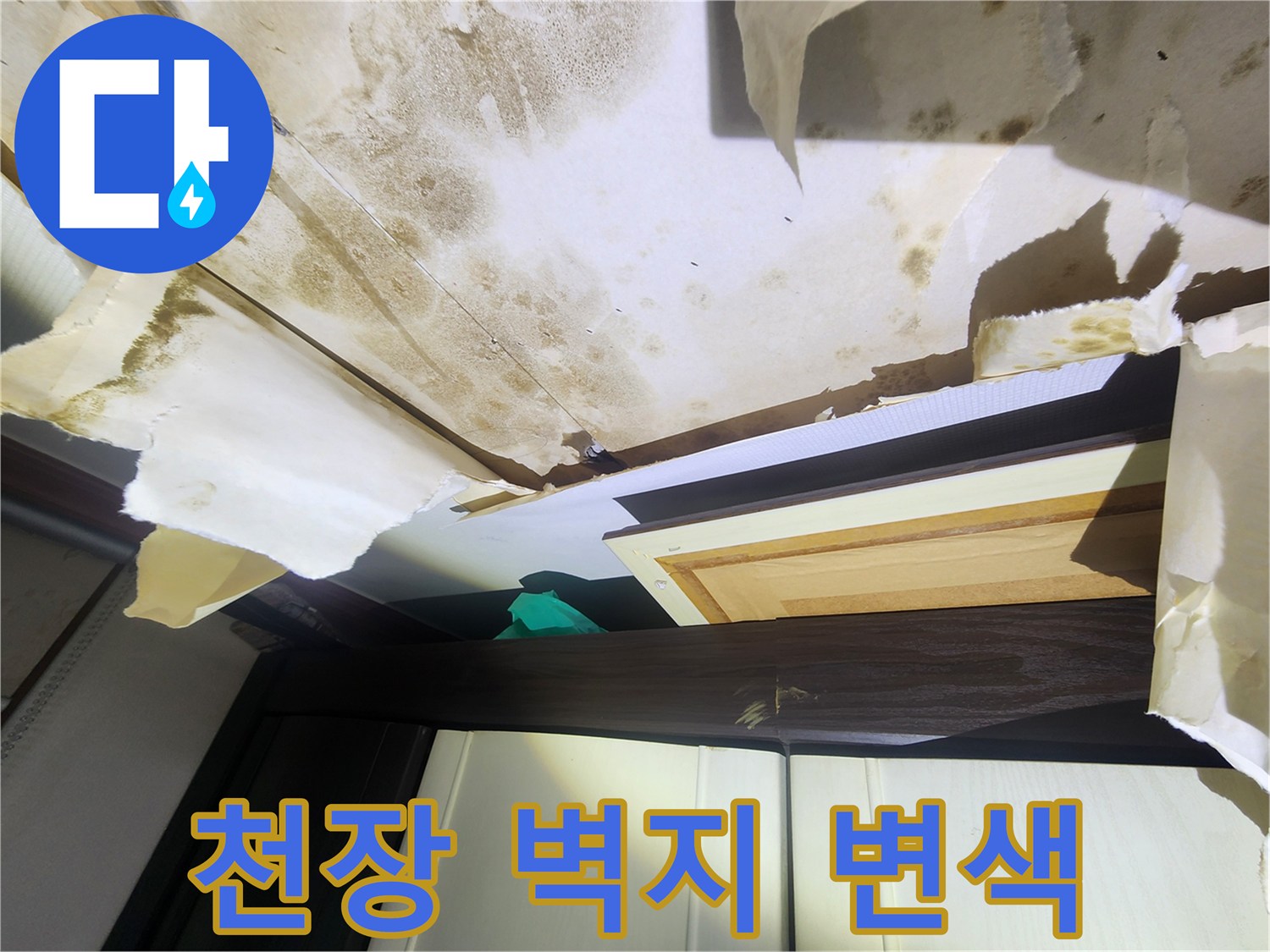 누수로 인한 천장 벽지 곰팡이 - 면목동 현장 점검 기록