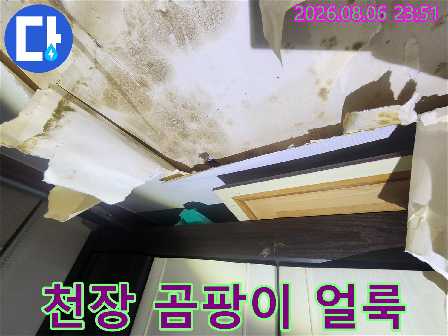 중랑구 면목동 현장의 천장 도배지가 들뜨고 곰팡이가 발생한 모습입니다.