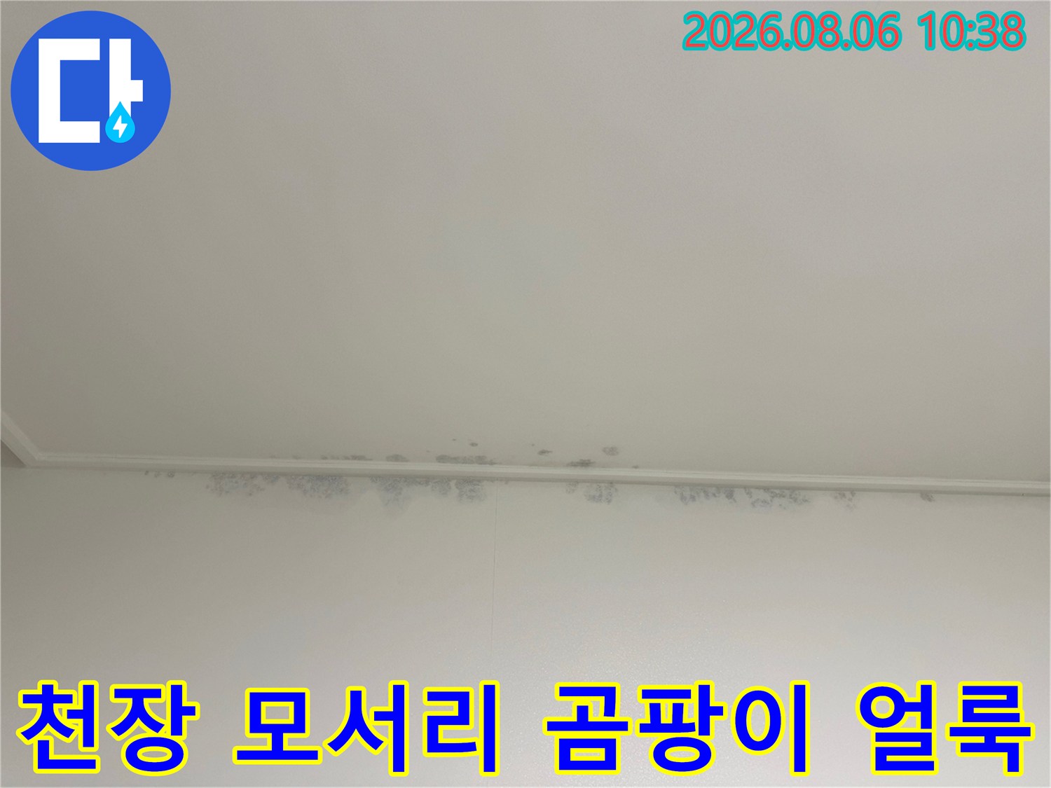 아파트-천장-모서리-부분에-발생한-짙은-회색의-누수-얼룩과-곰팡이