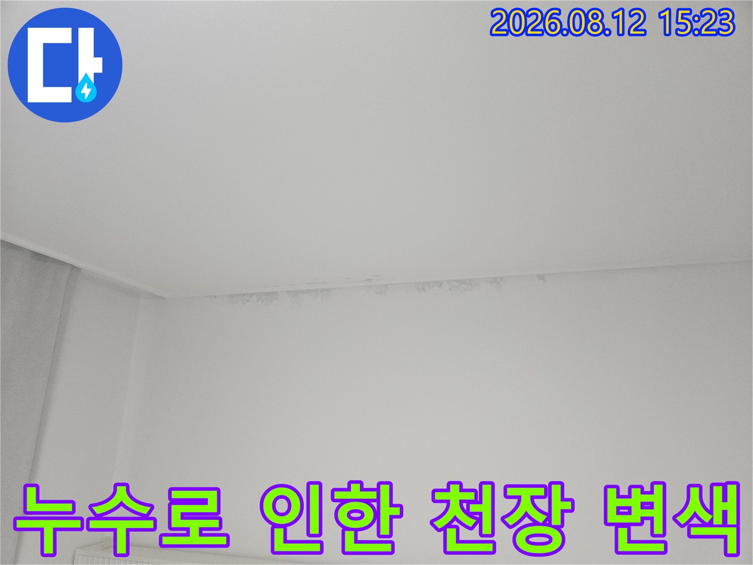 천장-구석-부분에-물샘으로-인해-발생한-어두운-색상의-곰팡이-얼룩
