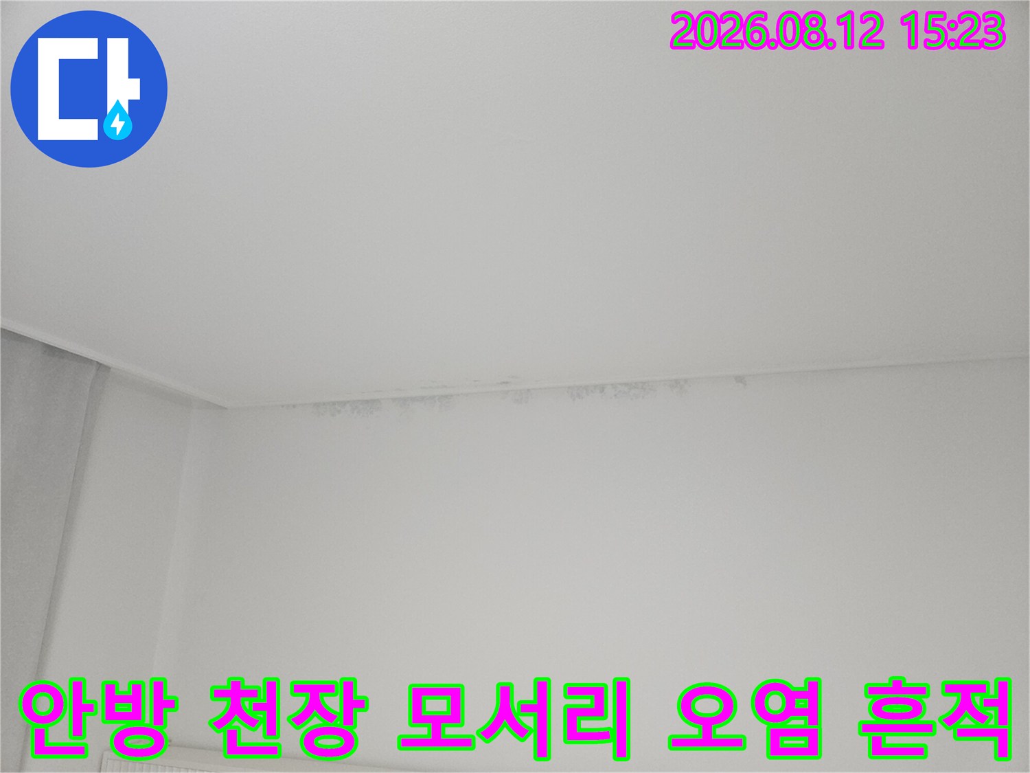 천장 끝단-습기로 인해 거뭇하게 변색된 벽지 및 곰팡이 발생 지점